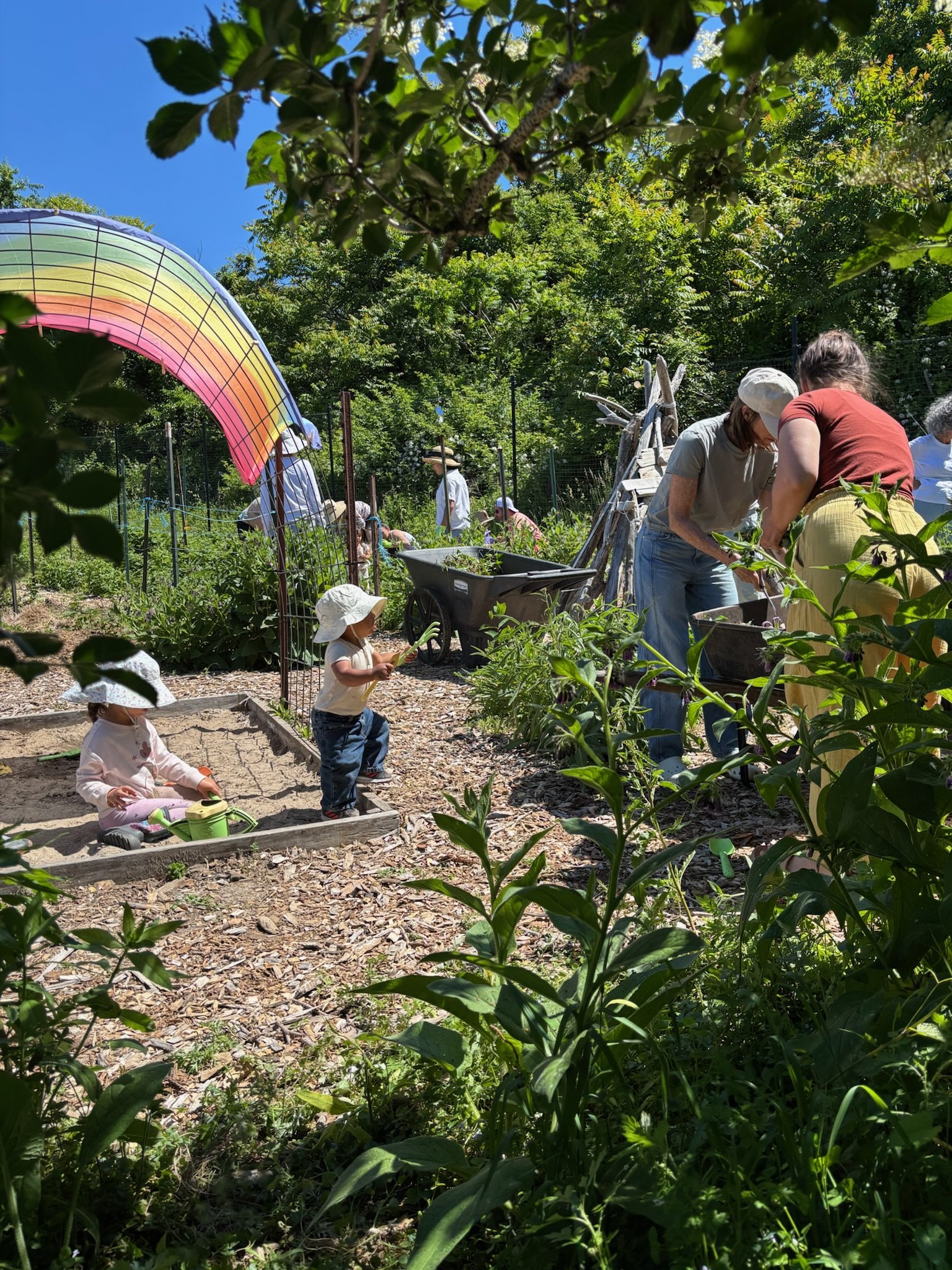 Parent-Child Farm Circle: Summer 2026