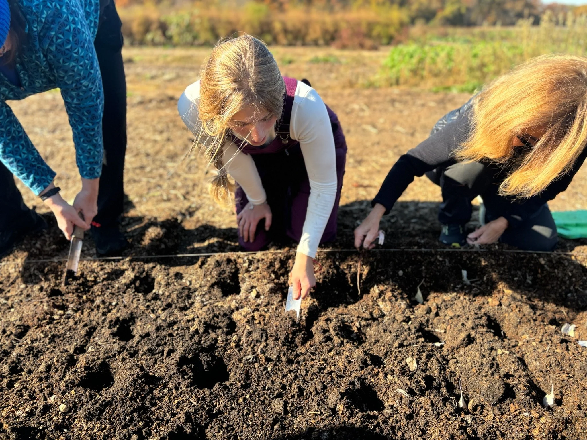 Community Day: NOVEMBER