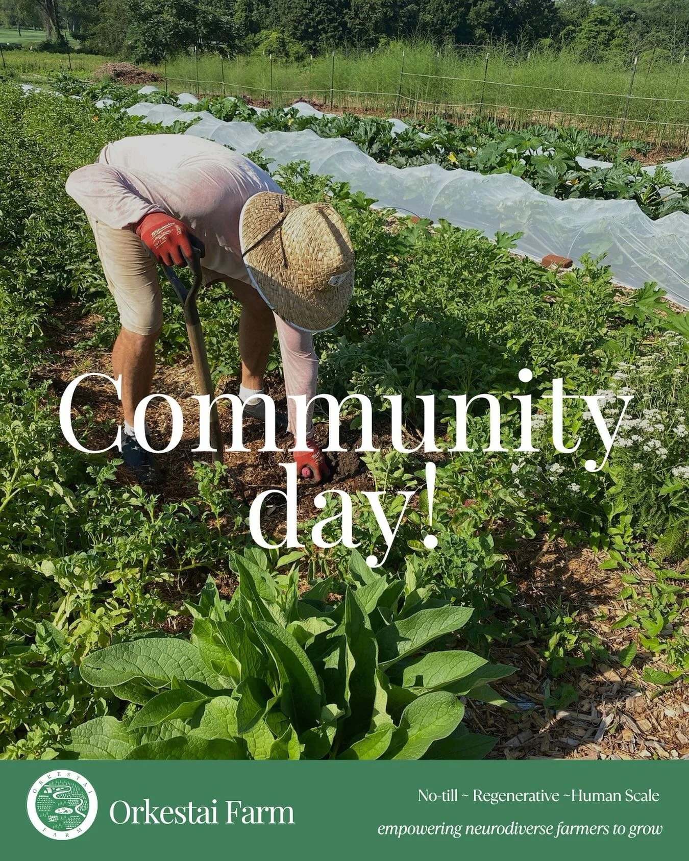🌿 COMMUNITY DAY IS COMING! 🌿

Join us for Community Day on Saturday, July 12th at 10AM for a visceral, hands-in-the-earth kind of morning. Walk the rows, meet your veggies, and connect with the land and each other.

Whether you&rsquo;re a seasoned 