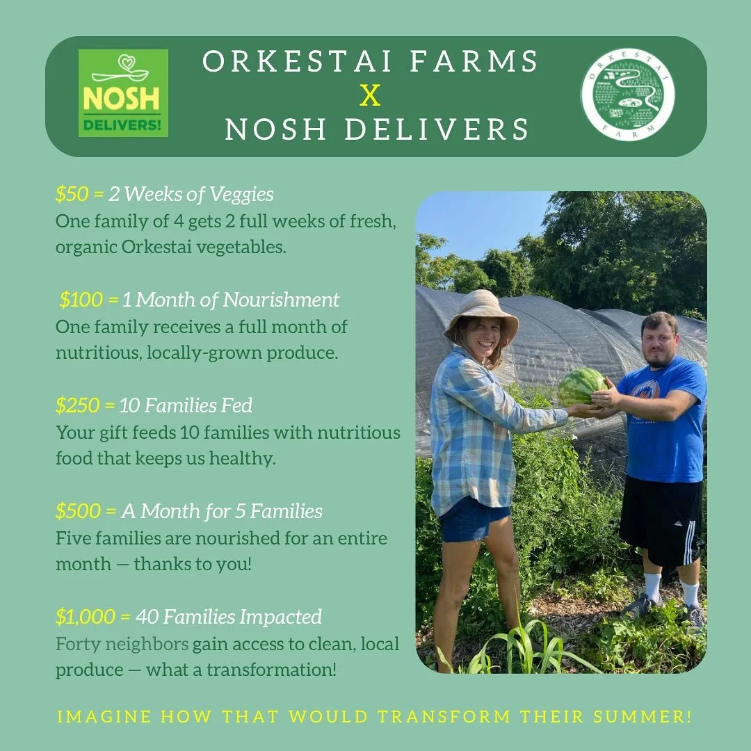 🥕 TAKE ACTION: Feed Families, Fuel the Farm 🥦

Federal funding cuts are hitting local food banks hard, and families are already feeling the impact. With just a small donation, you can make a BIG difference.

 💚 Help us deliver fresh, organic produ