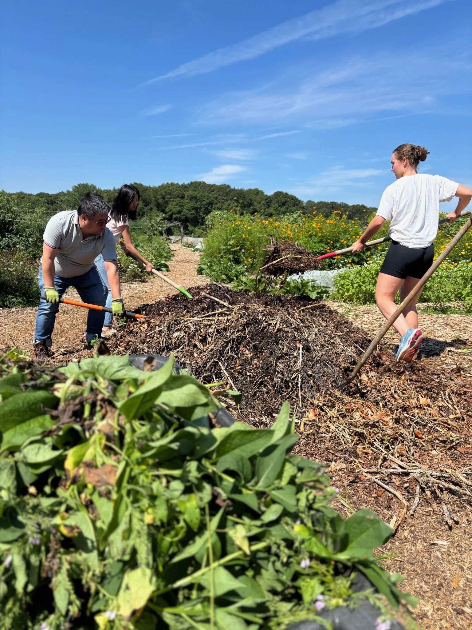 Community Day: AUGUST