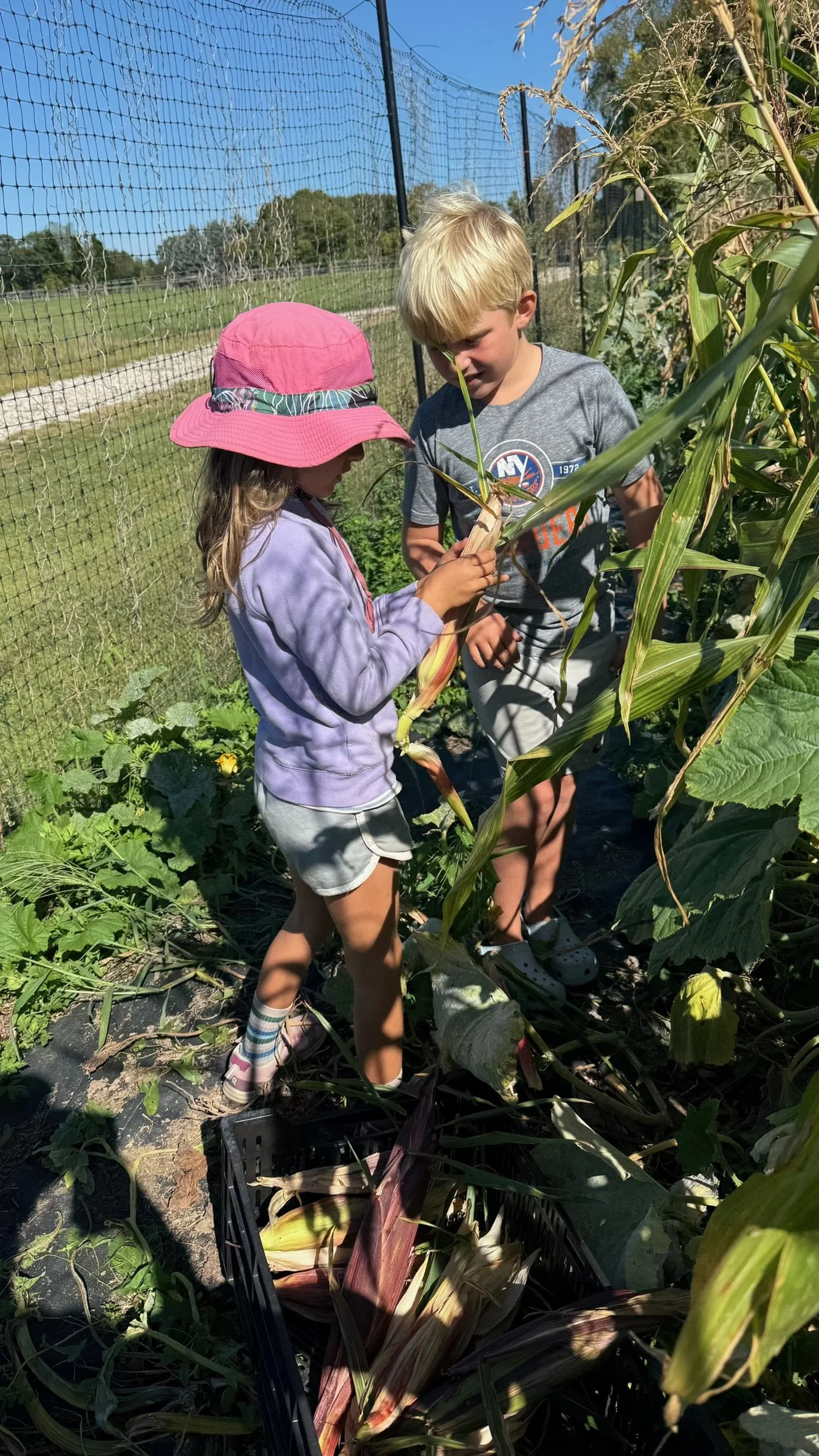 Community Day: SEPTEMBER