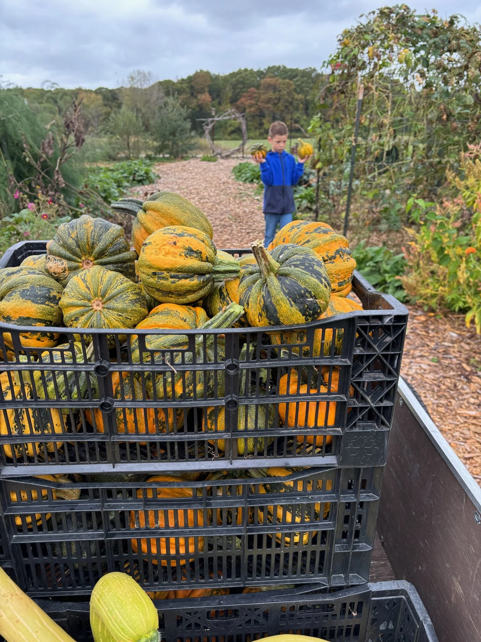 Community Day: OCTOBER