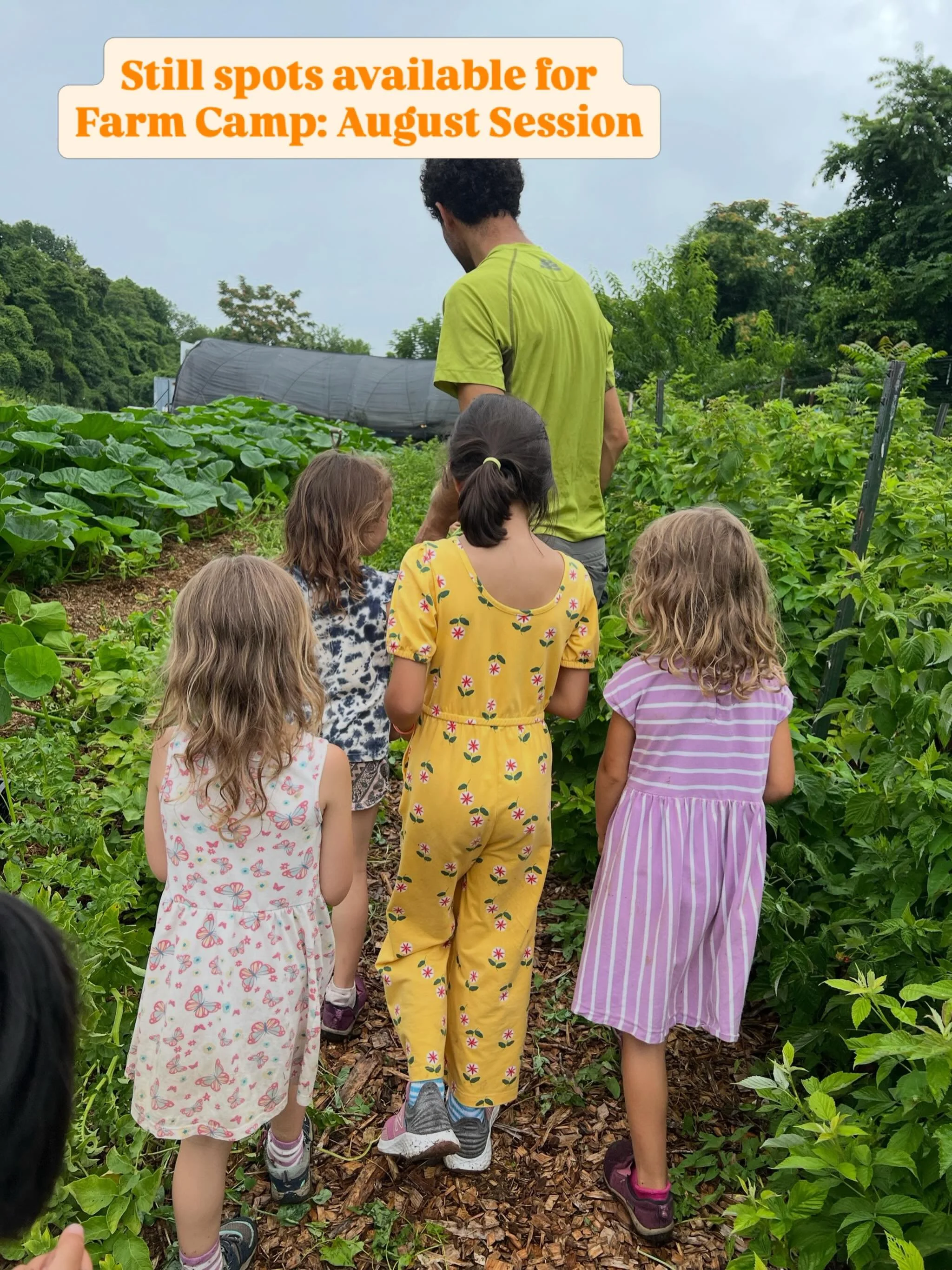 August Farm Camp still has a few spots available.
For children ages 5&ndash;10, Farm Camp offers a week of hands-on farming, nature exploration, creative arts, sensory discovery, and connection to land. 
📅 August 3&ndash;7, 2026
🕘 9 AM&ndash;2 PM
?