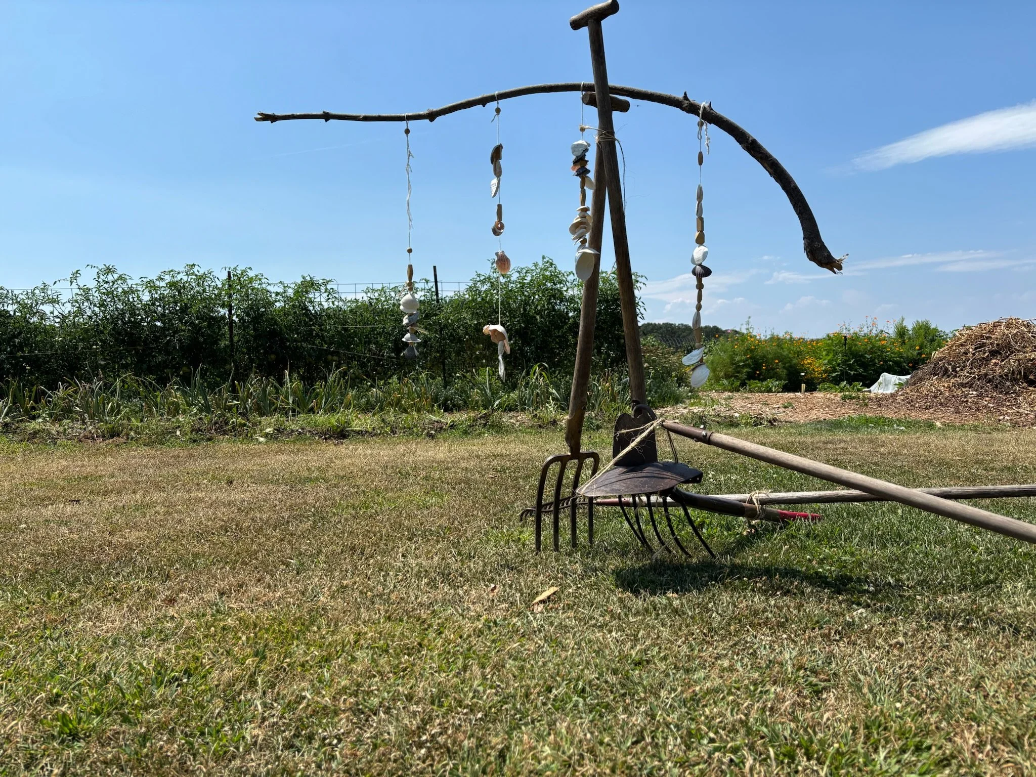 Expressive Agriculture: Field Practice