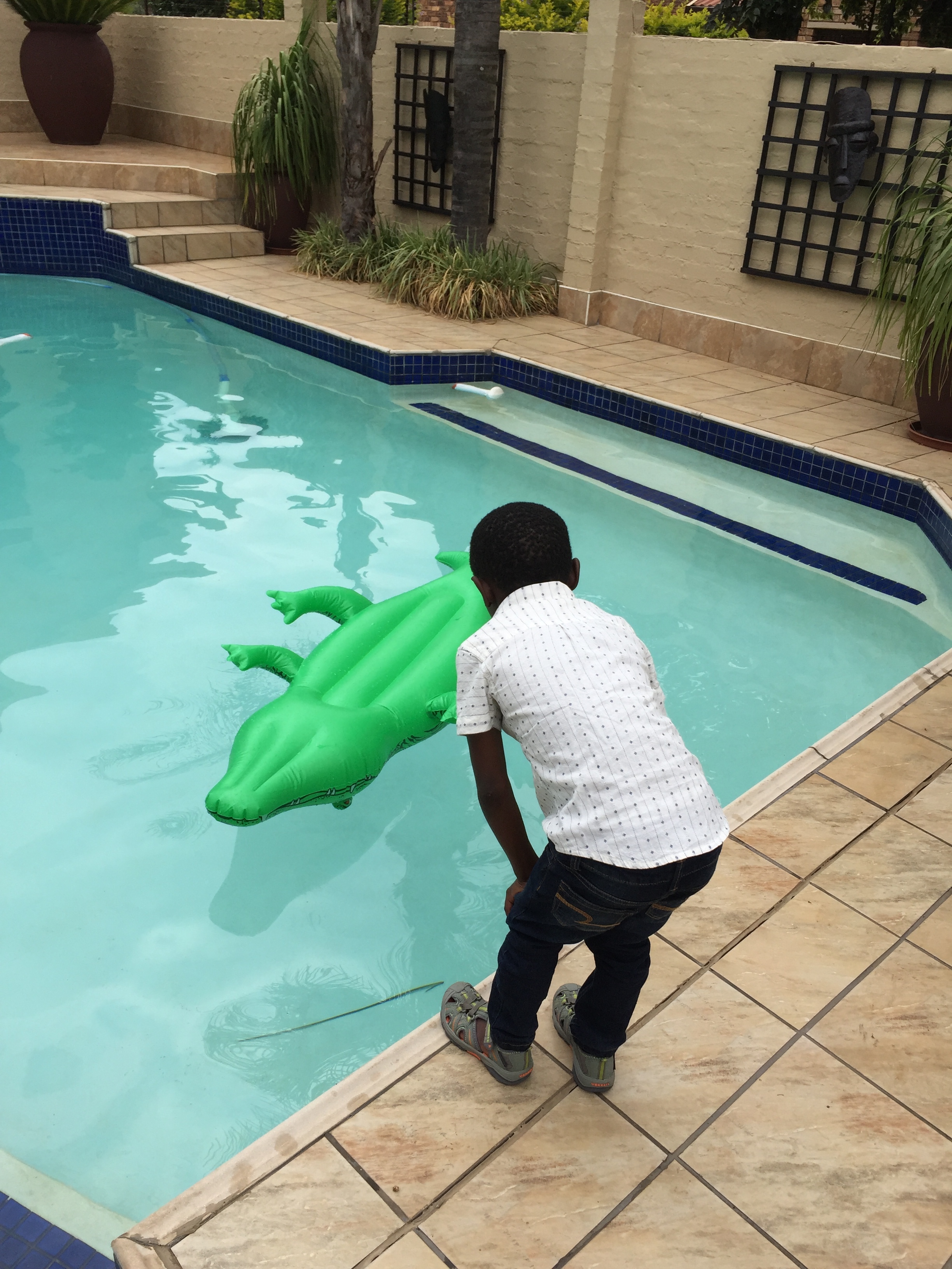 Waiting for the crocodile to float back.