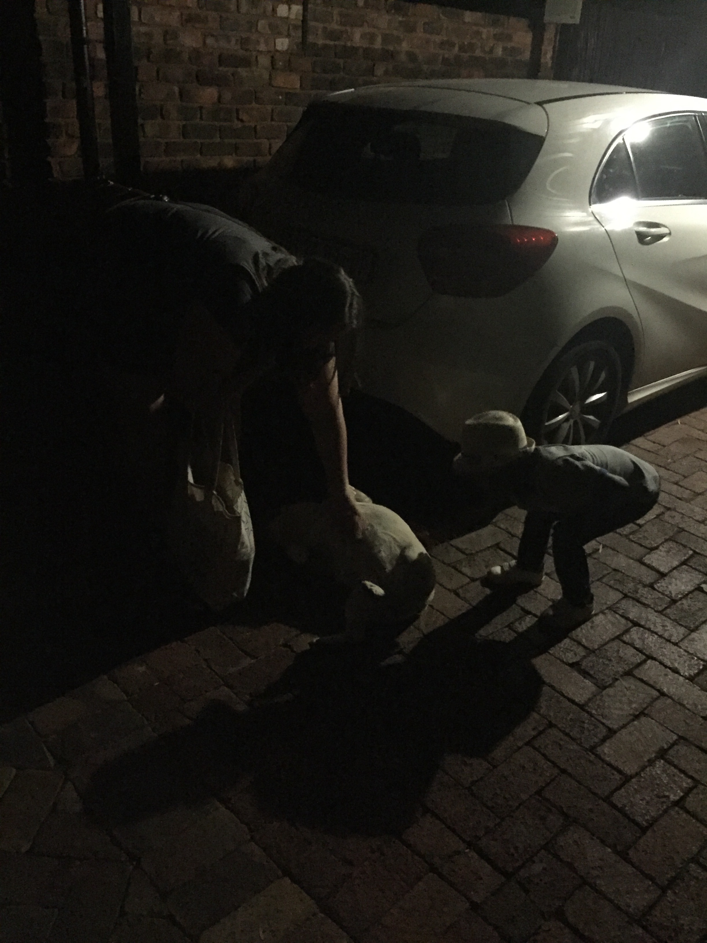 We finally got T to pet the dog! We had to bribe him R2 (10 cents).