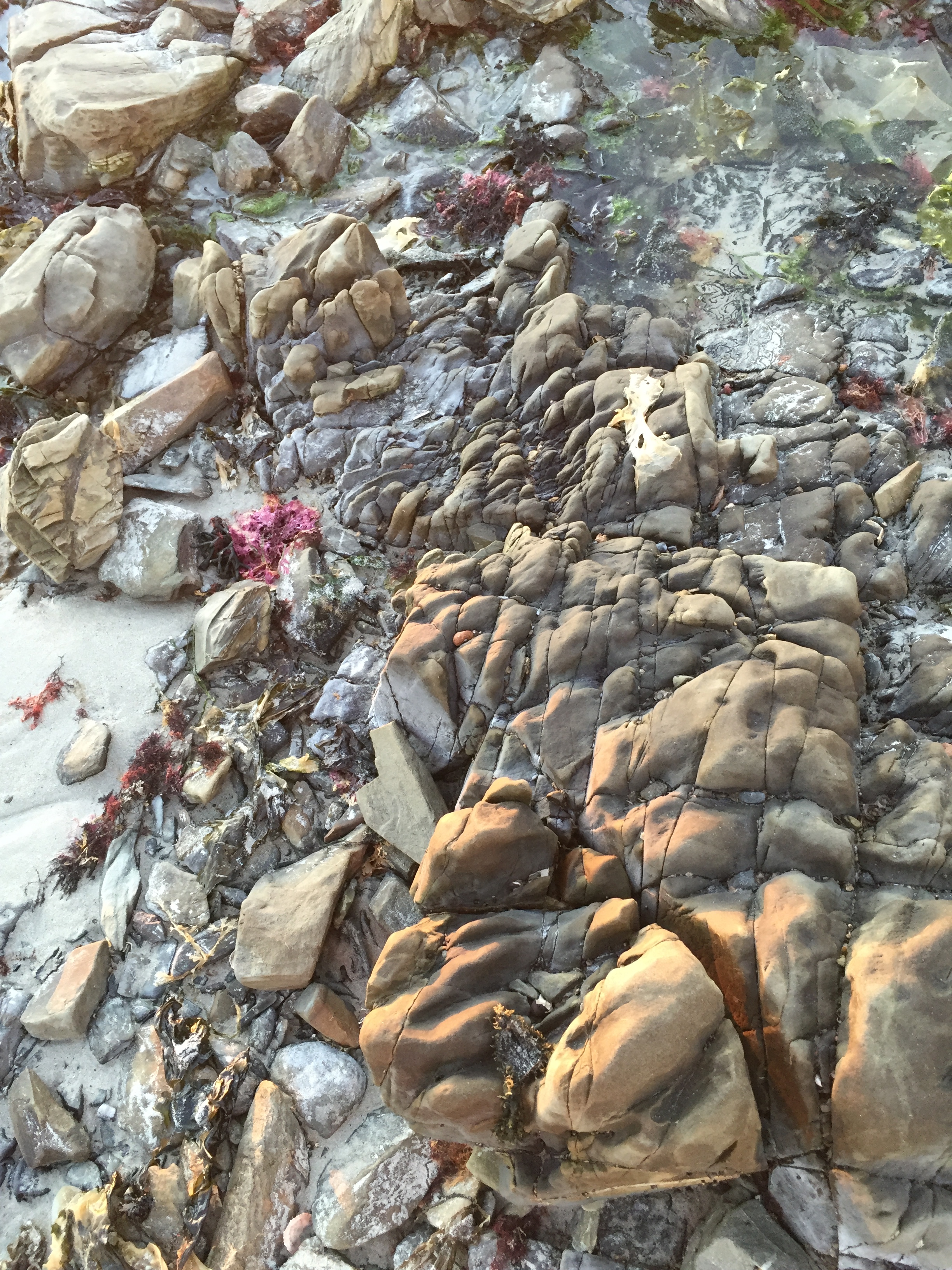 The rocky beach in front of our building.