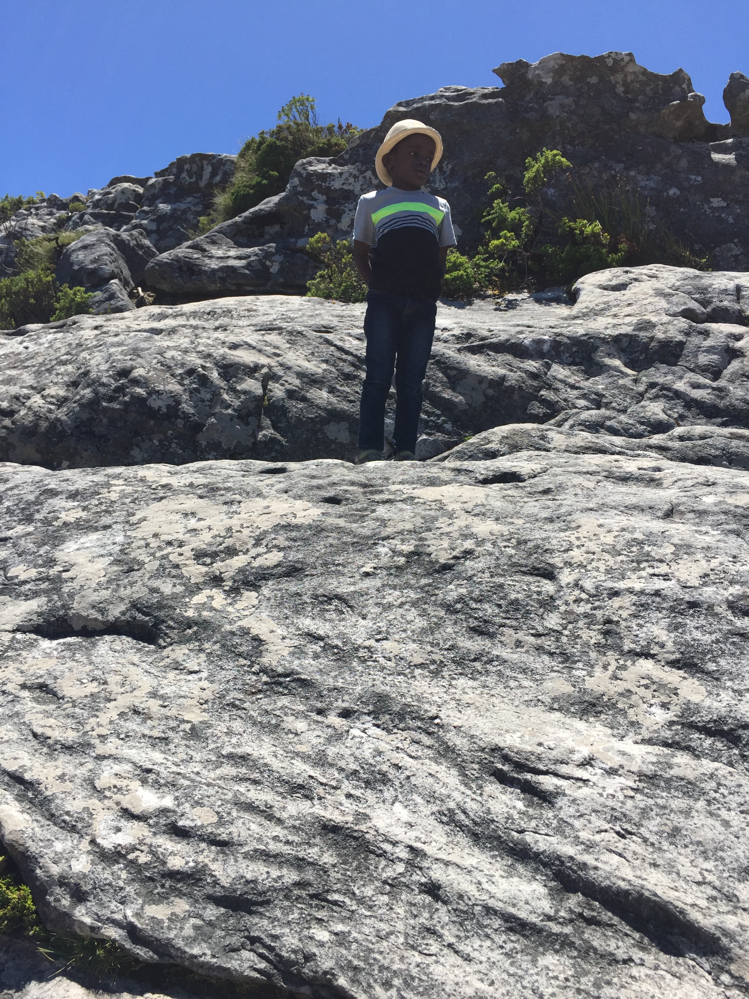 Our little mountain climber.