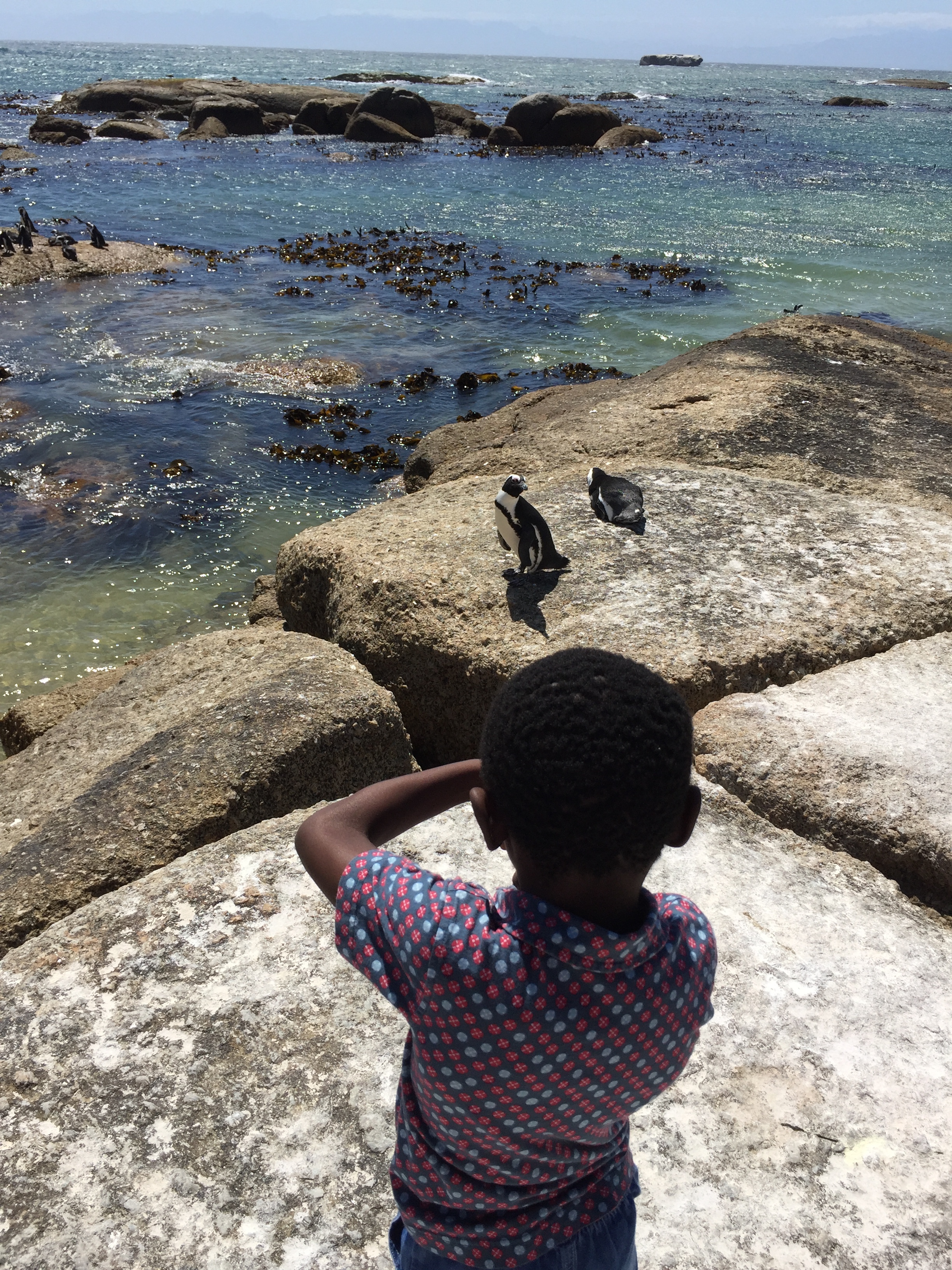 As with all nature, Tisetso kept a respectful distance.