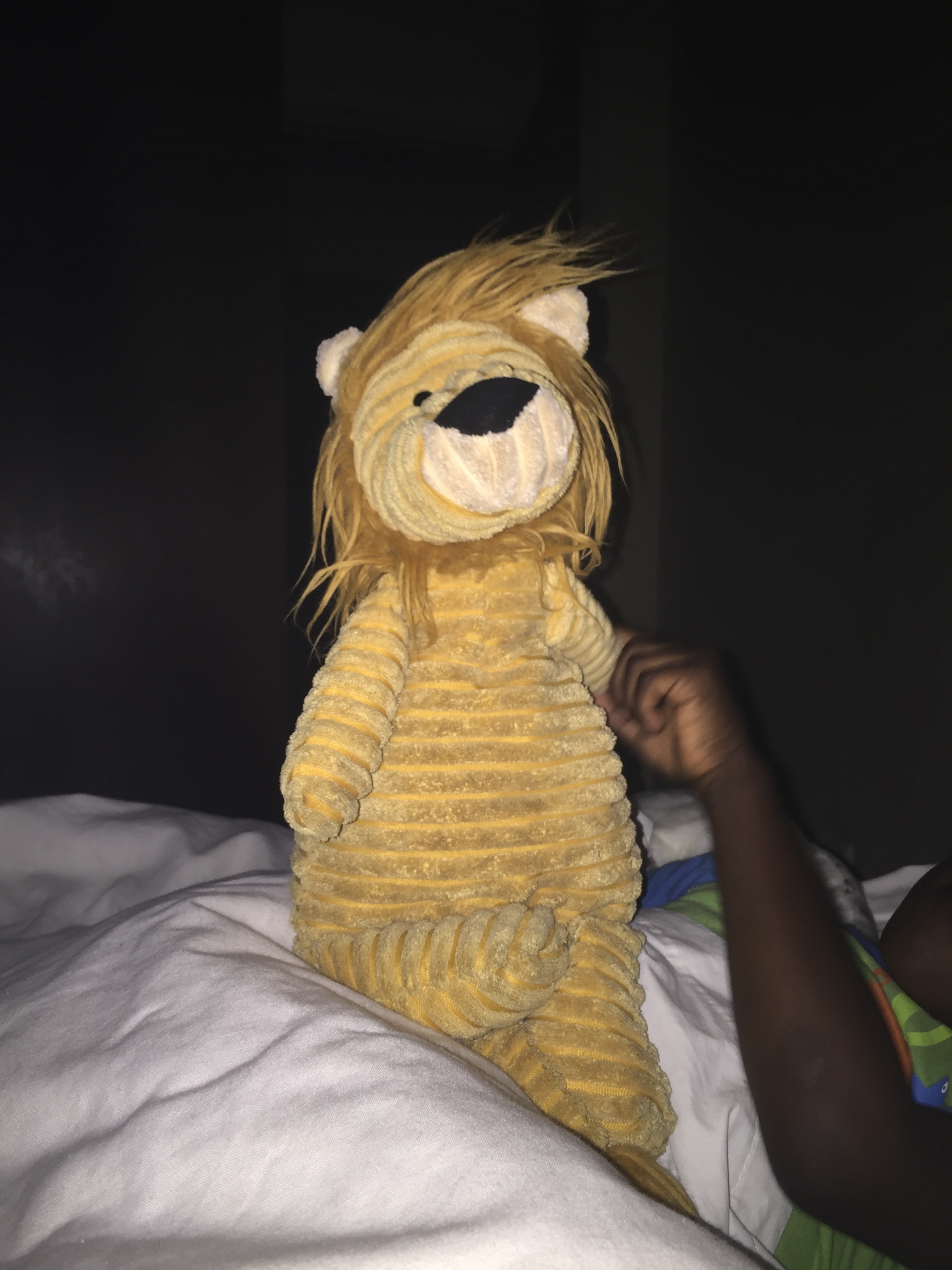 My son stalling at bedtime by being Roy's hairdresser.