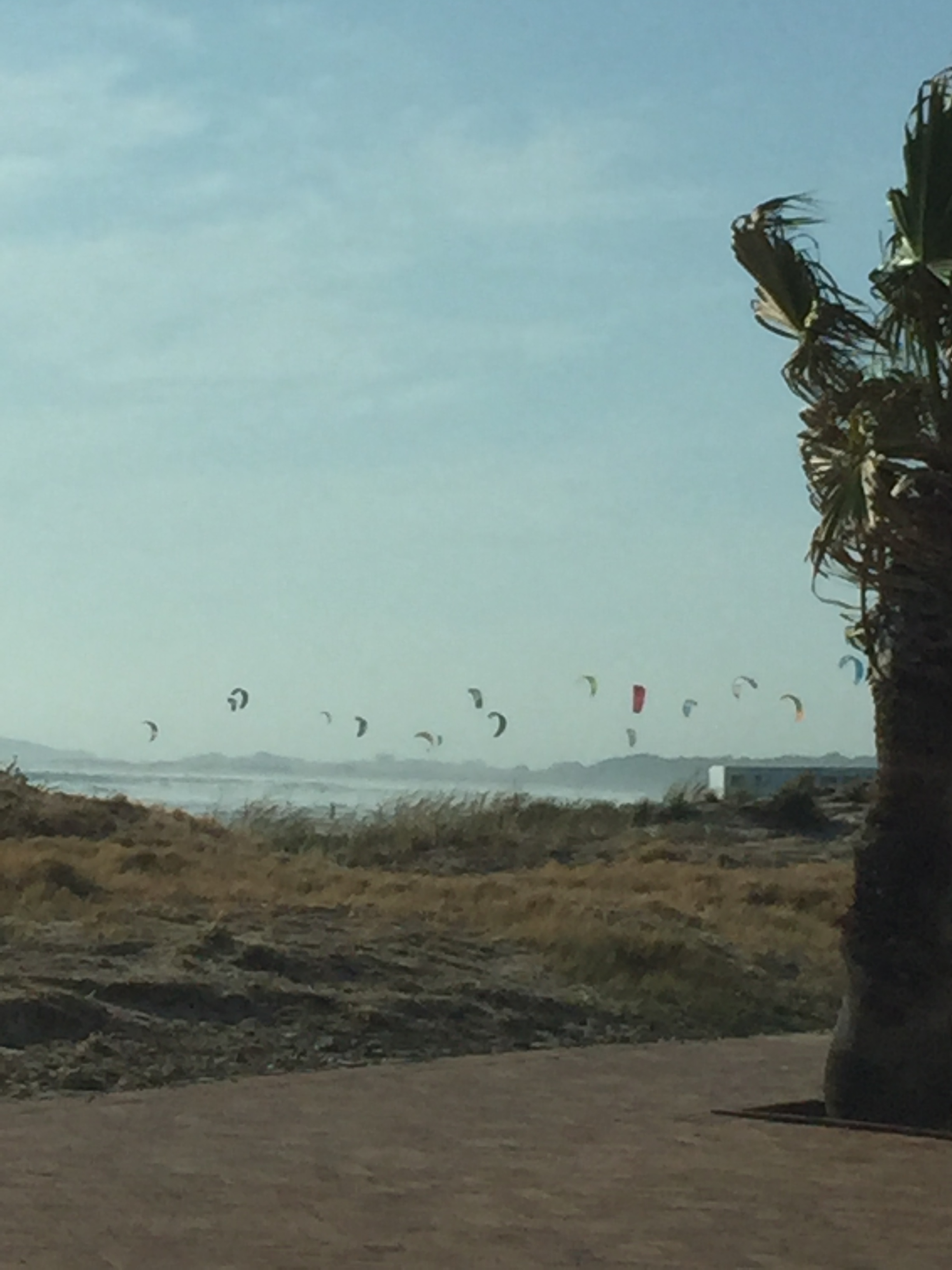 At least 19 parasurfers on the beach that evening!