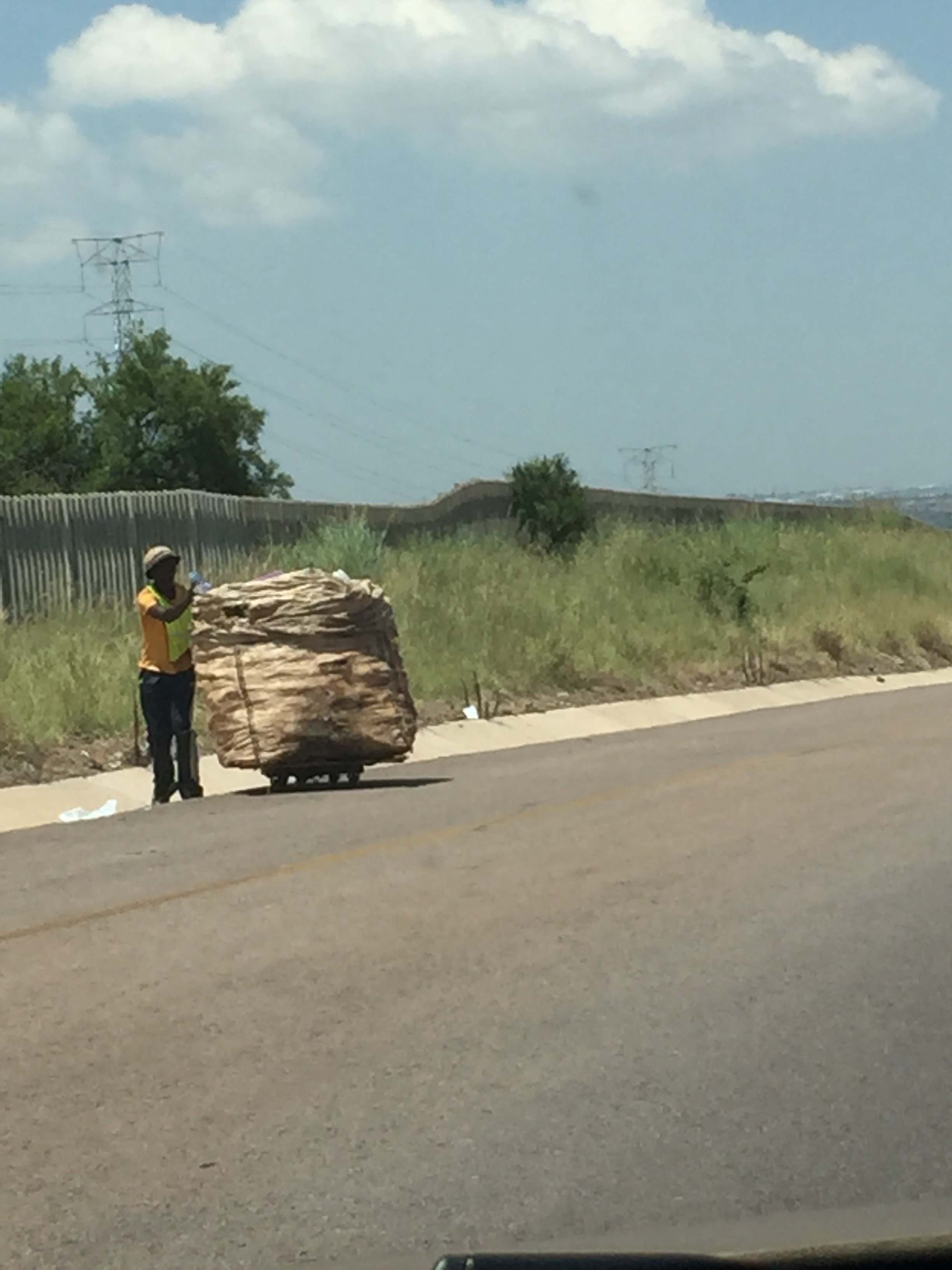 People would be walking these huge carts on the side of the road/highway. It broke my heart because I am guessing with the amount of work put into filling and transporting the carts, it wasn't a lot of payback.
