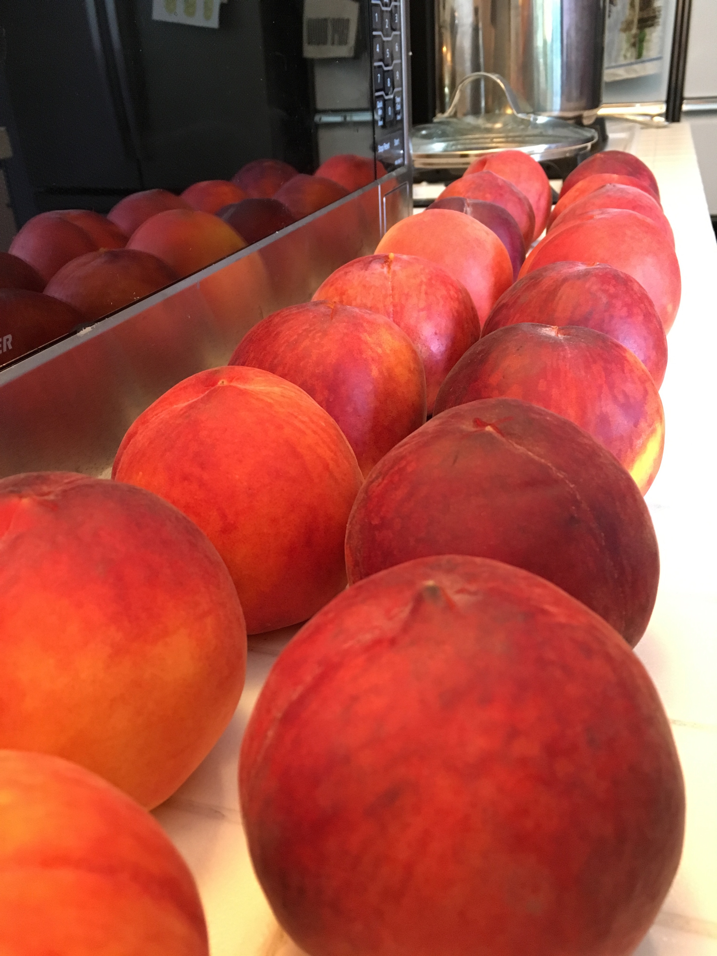 Lined up and ready to boil.