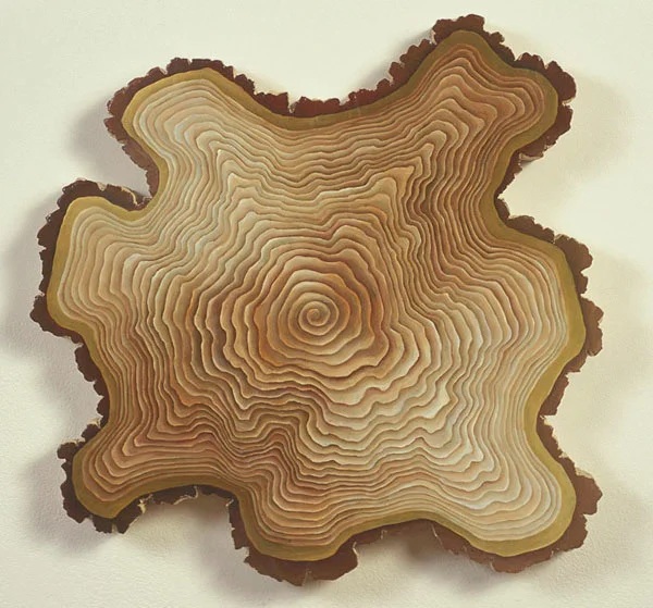 Natural Curiousity #6, 1999