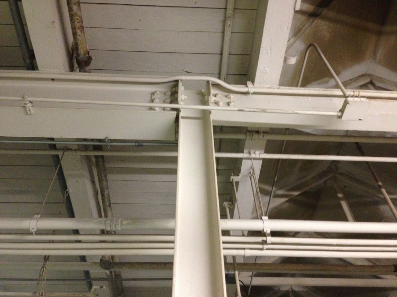 IMG_8413.jpeg