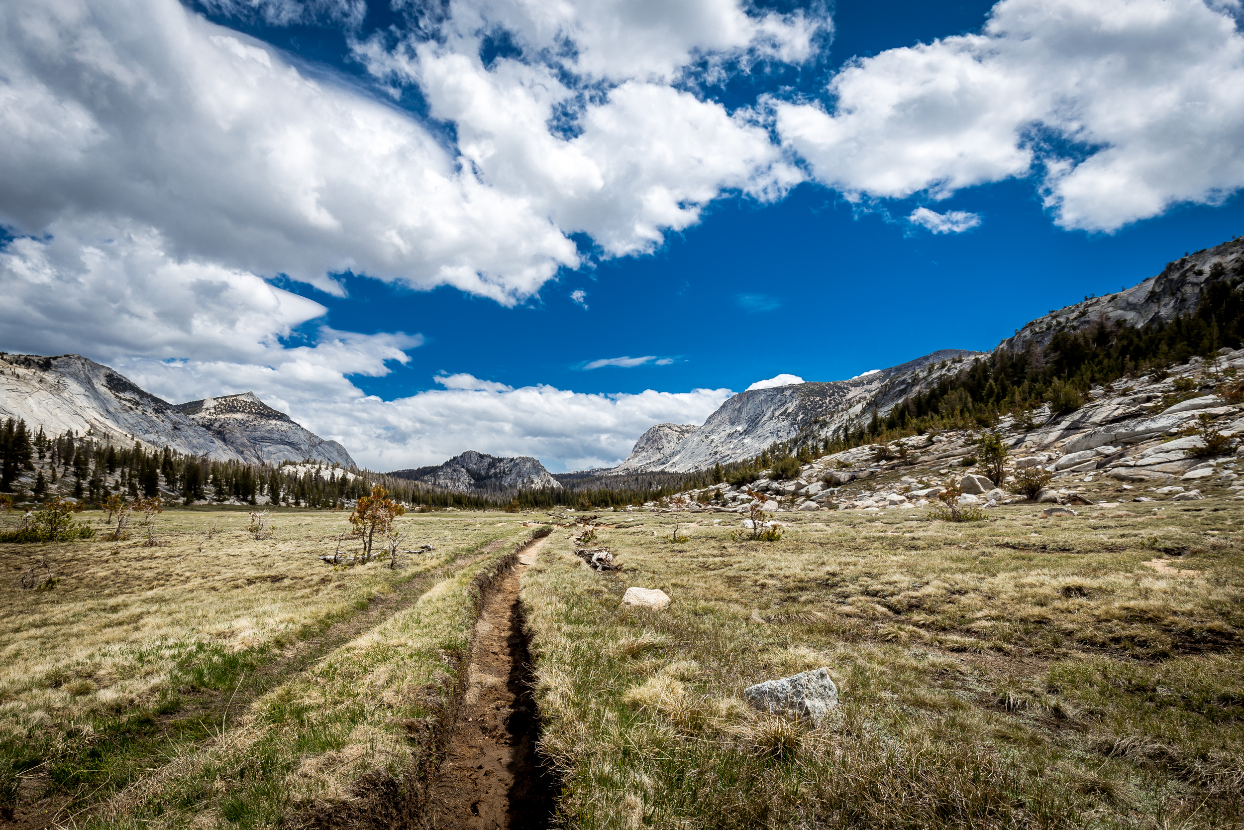 1162Yosemite RAW-Color Corrected 5500K.jpg