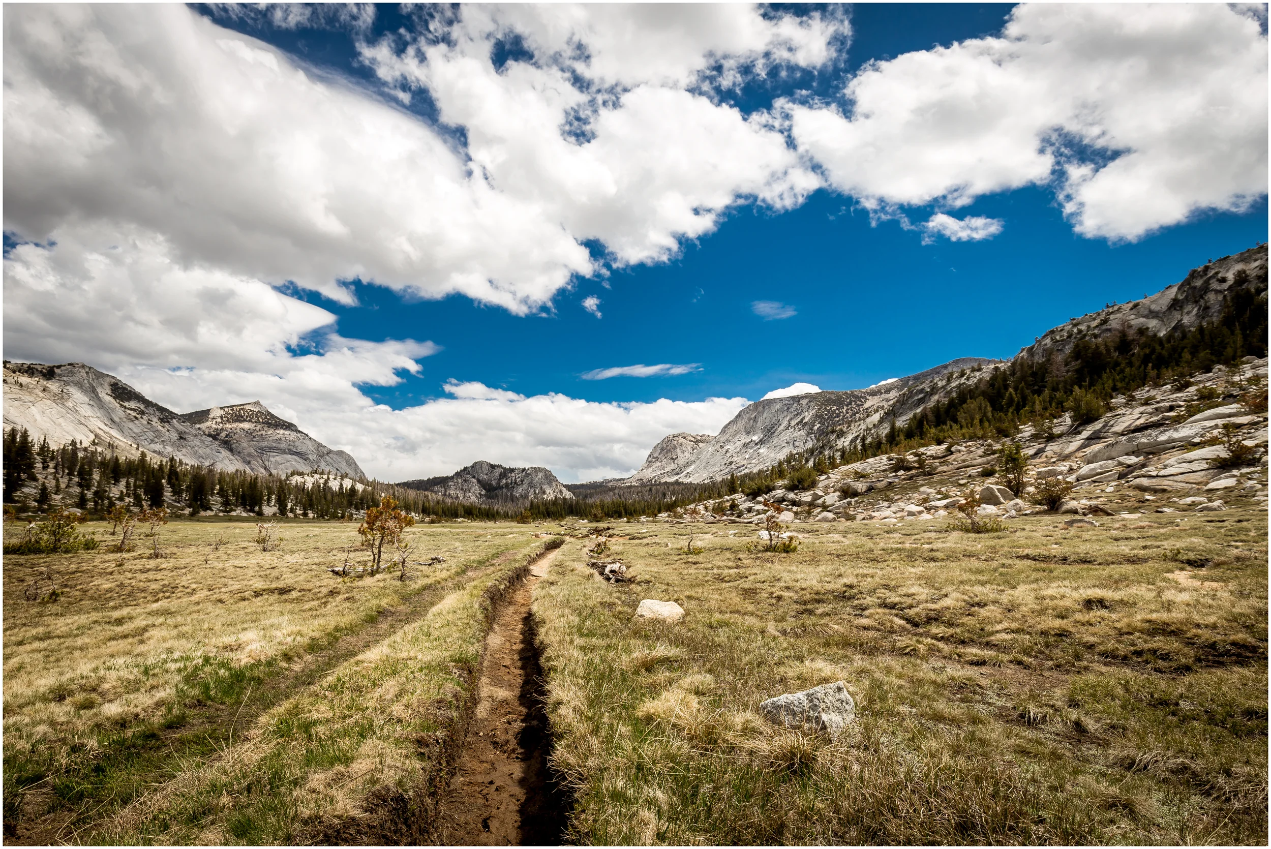 To Vogelsang White Border Web Image.jpg