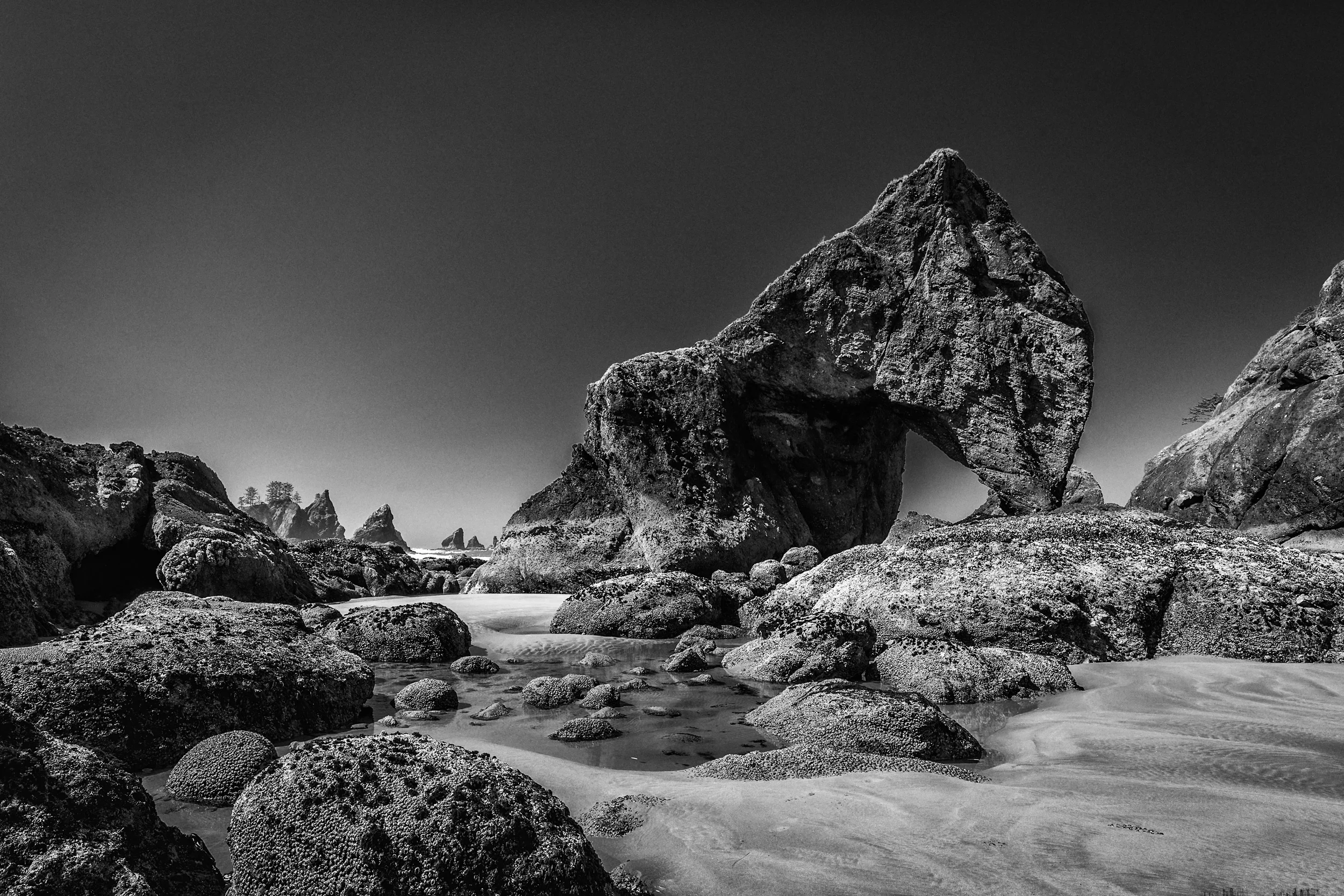 Point of Arches B+W.jpg