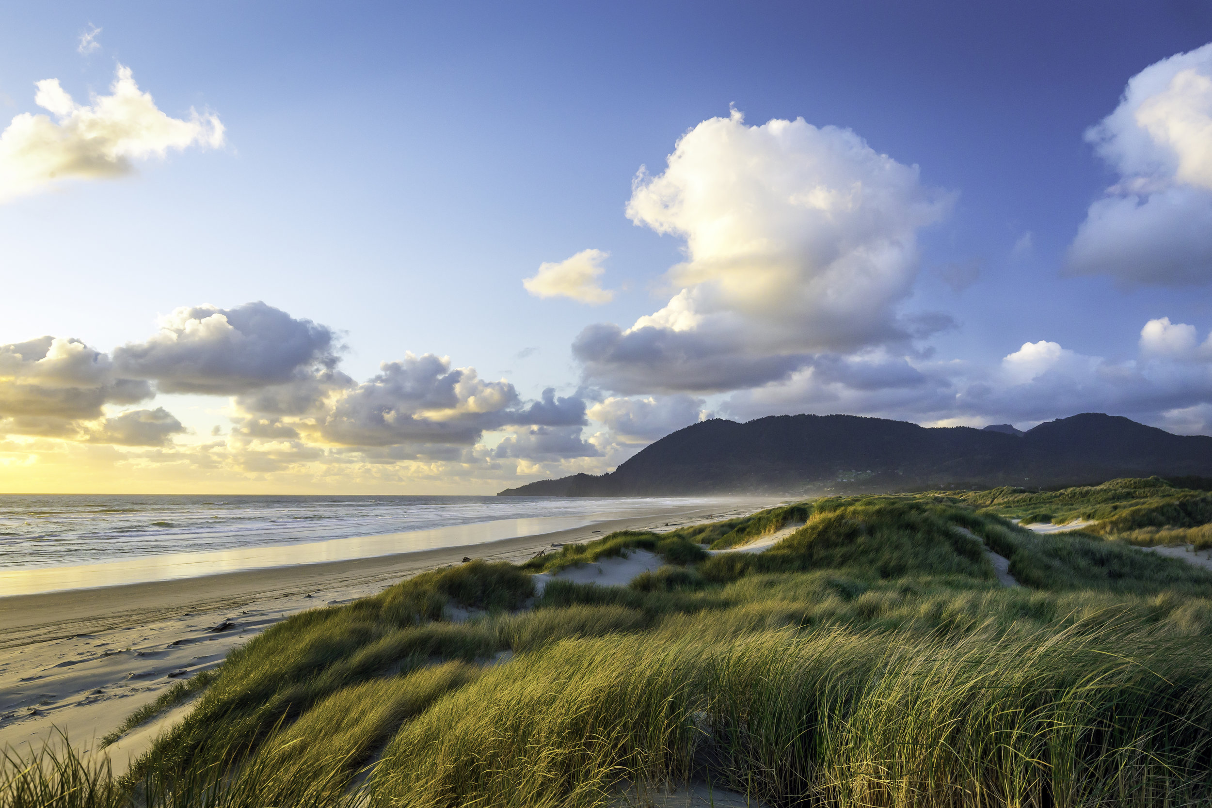 Nehalem Bay Sunset Canvas Print.jpg