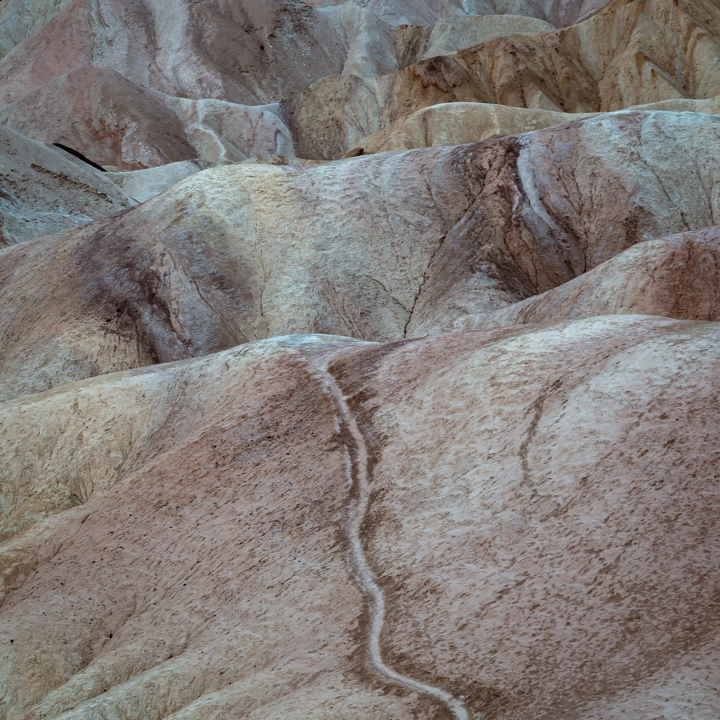 Desert Trail Abstract