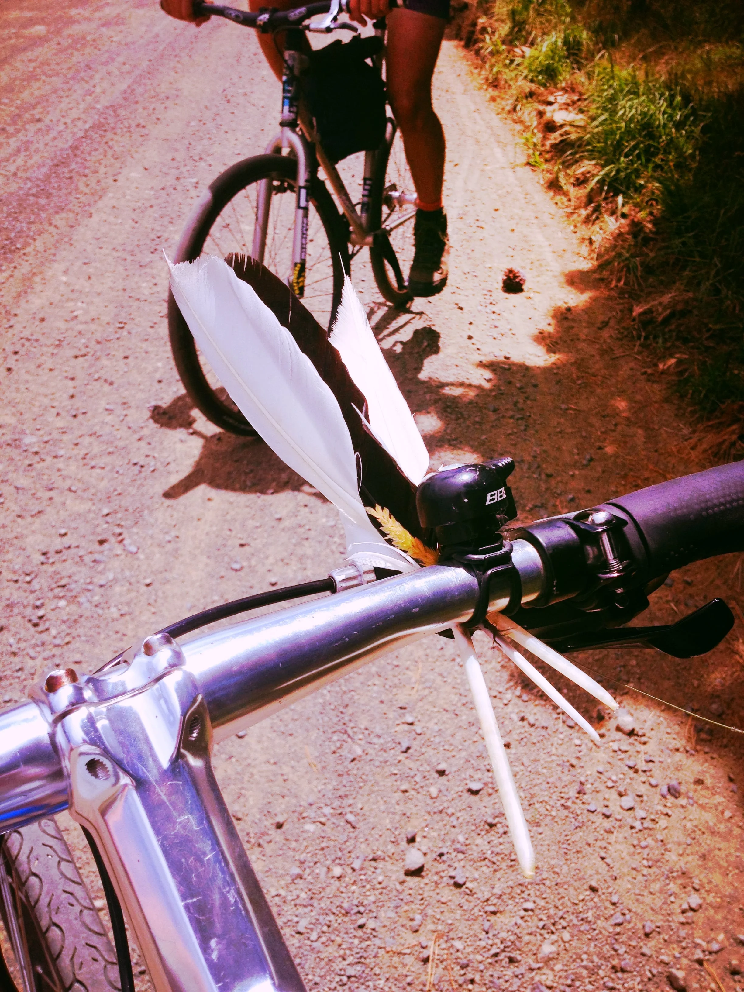 Ecocity Bike Tour in Carlton