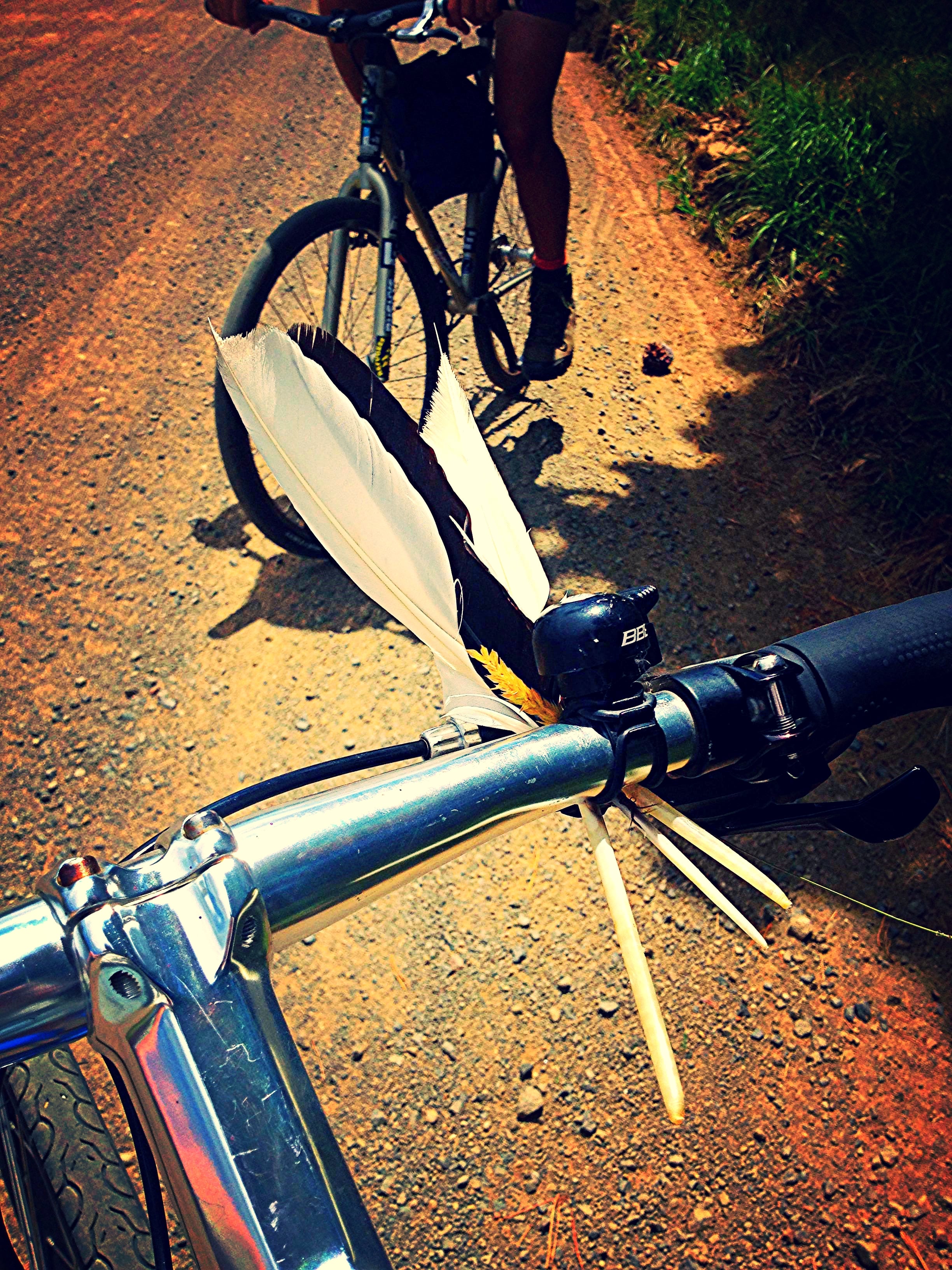 Ecocity Bike Tour of Southbank