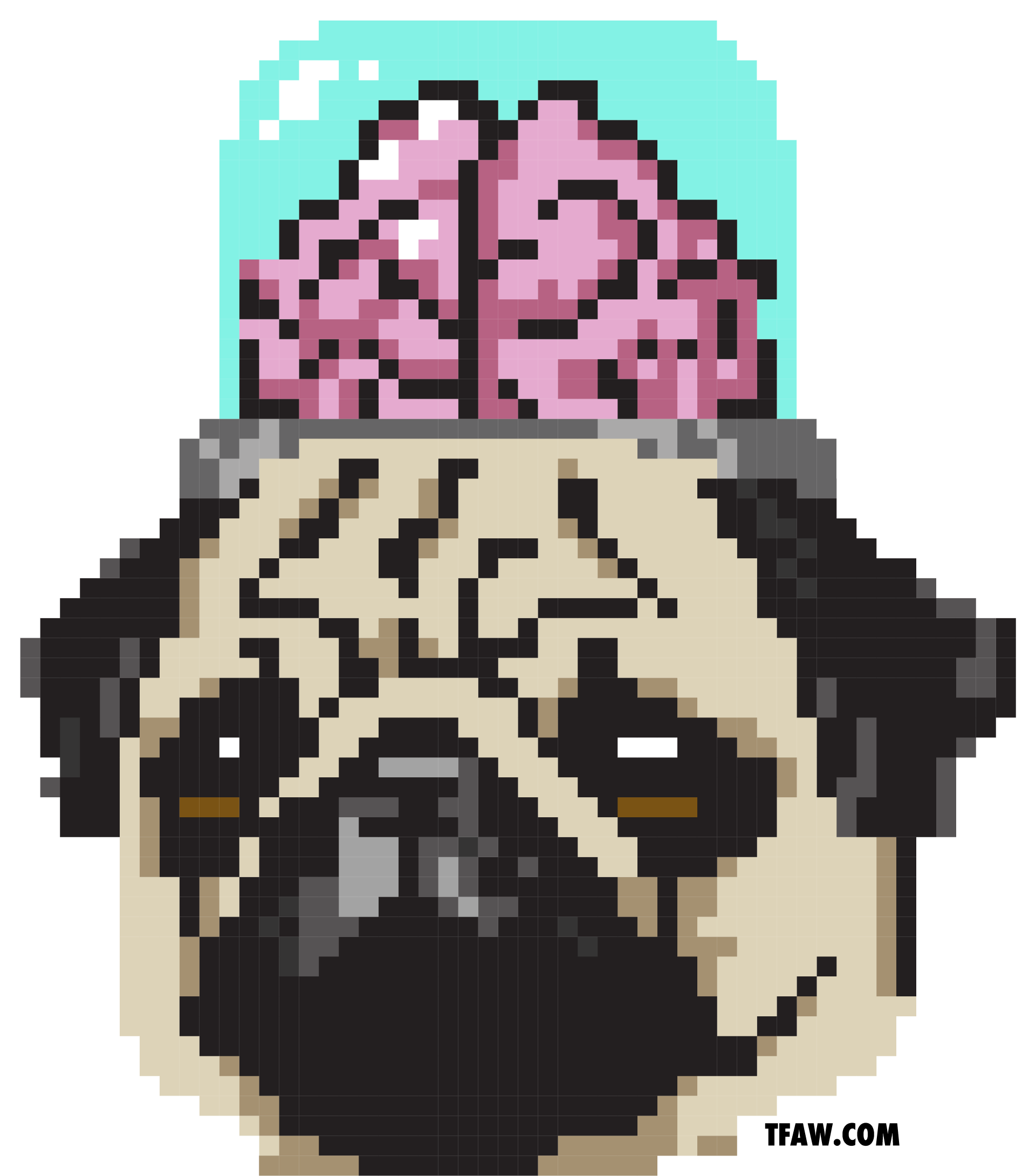 pixel_pug_url.png