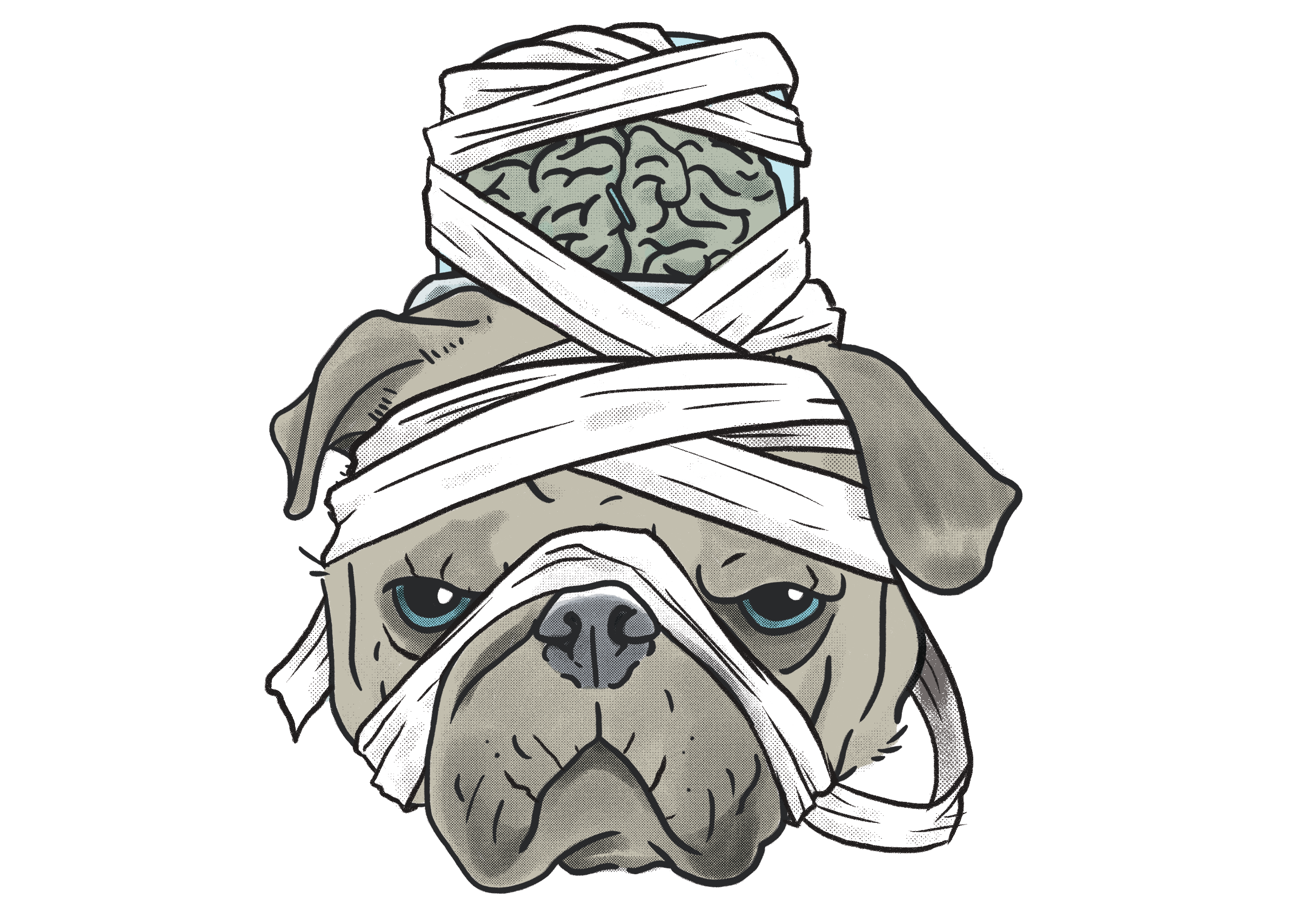 Mummy_pug.png