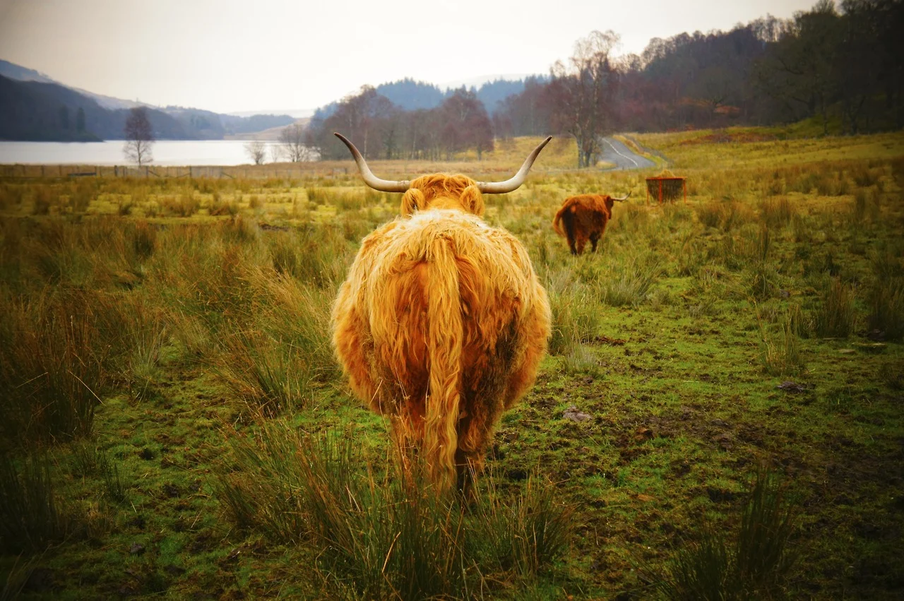 The Highlands, Scotland