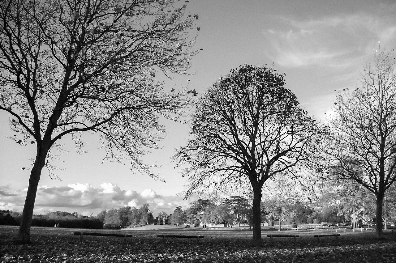 Blenheim Palace, United Kingdom
