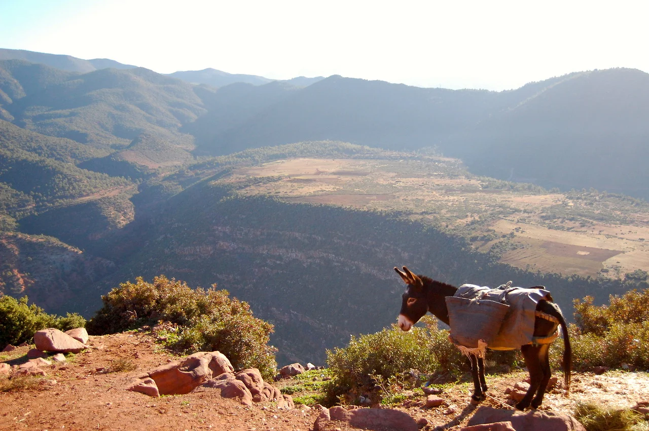 Atlas Mountains, Morocco