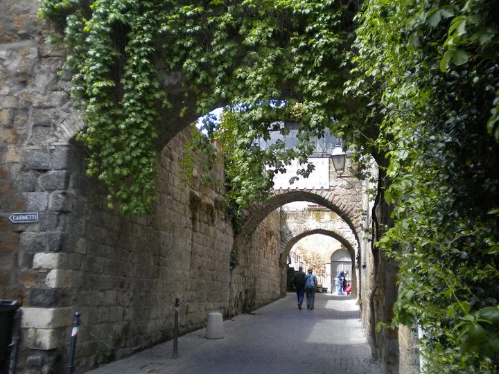 The Forgotten Body...