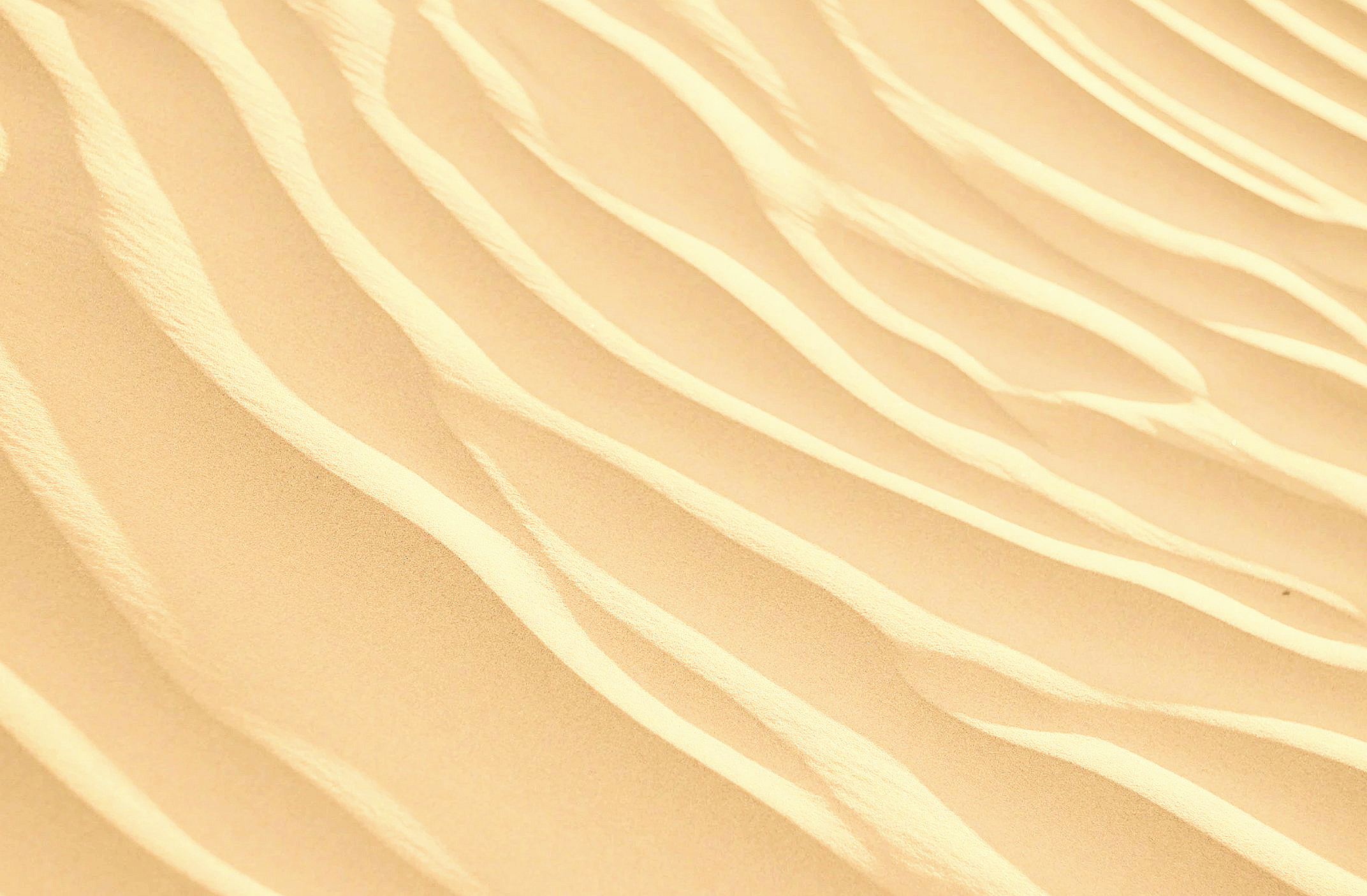 peach_dunes_matched.png