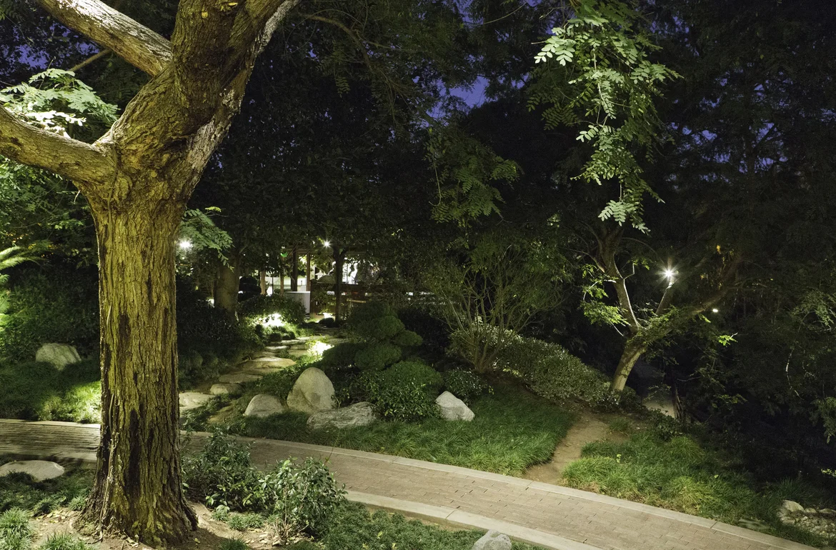 Friendship Garden at Night