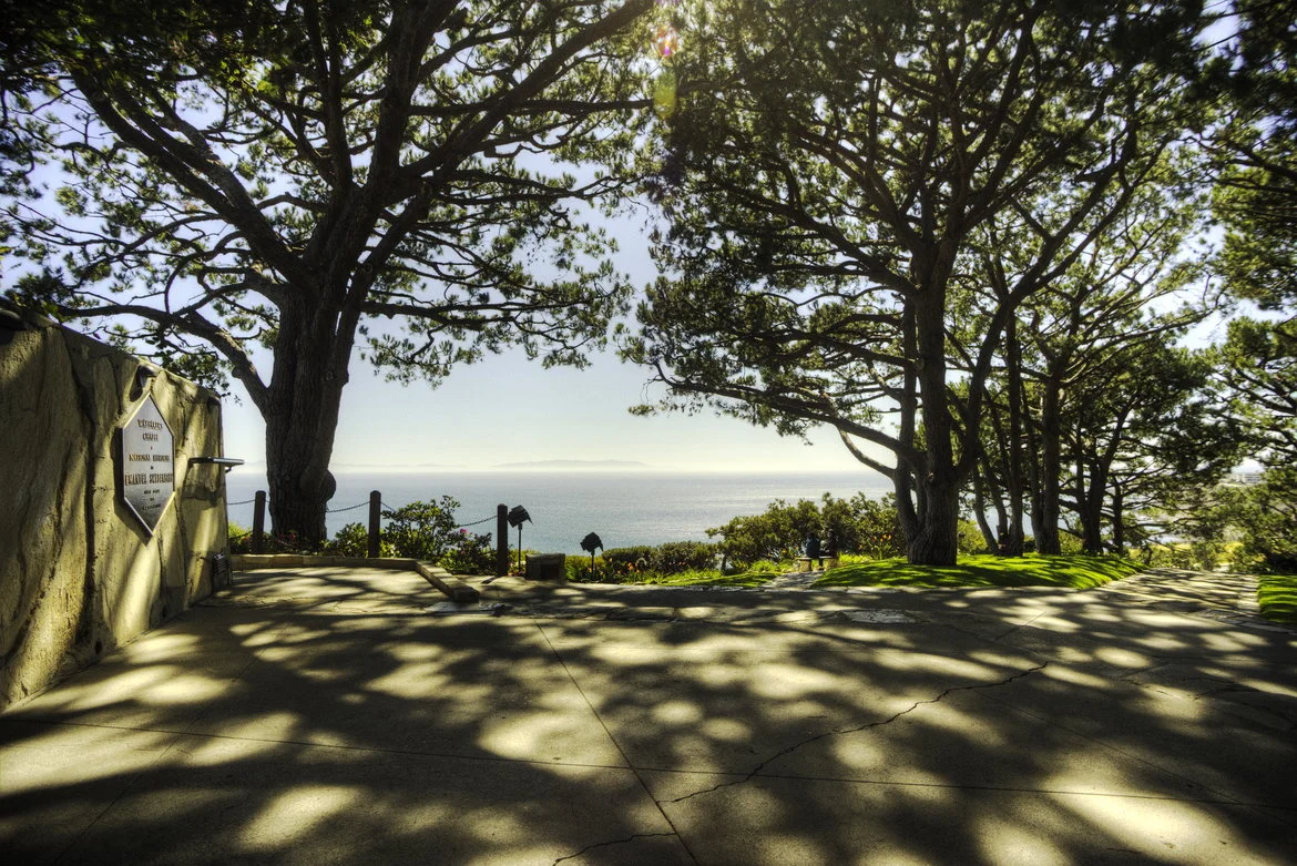 Shaded Vista