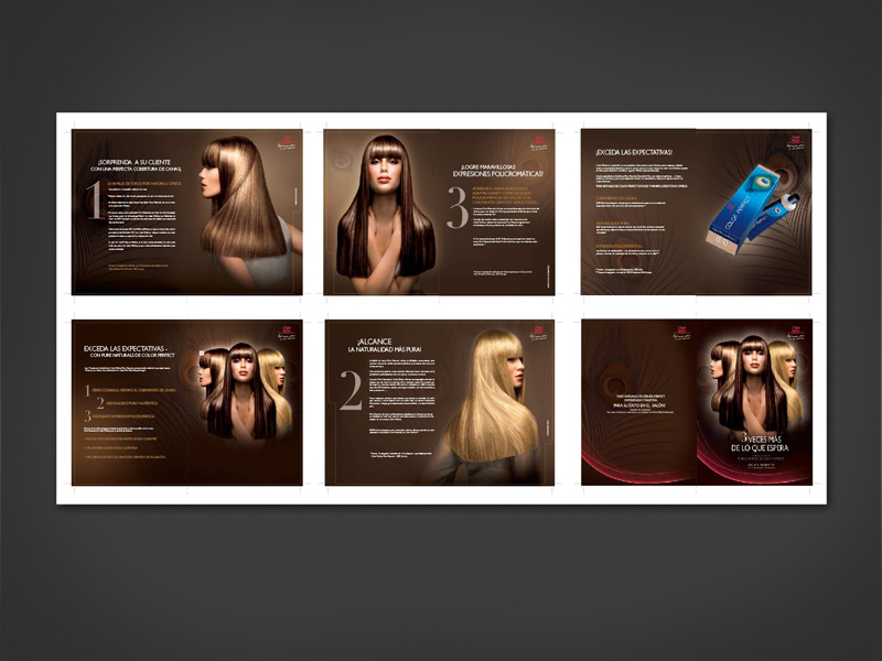 WELLA-loop4.jpg