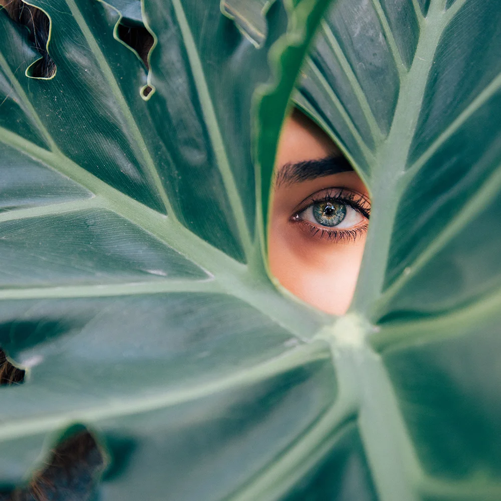 ojos_mujer.jpg