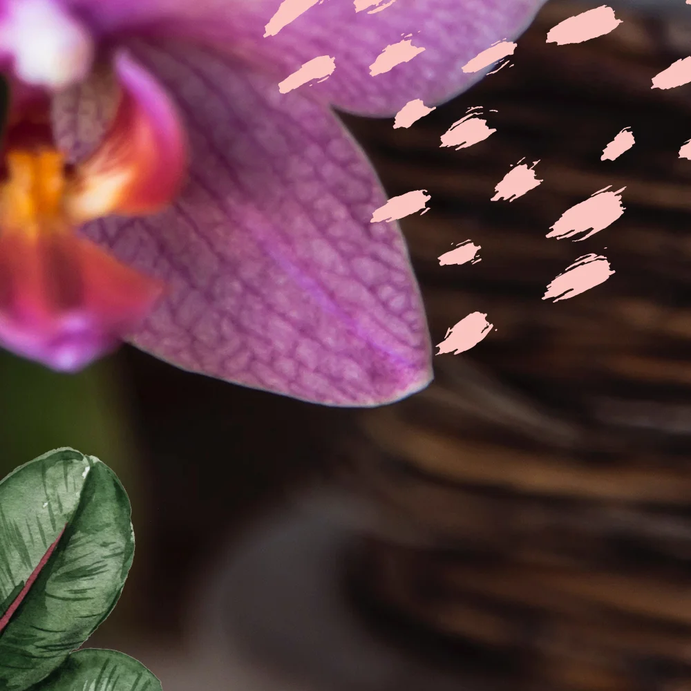 FULL-INSTAGRAM_orchid03.jpg