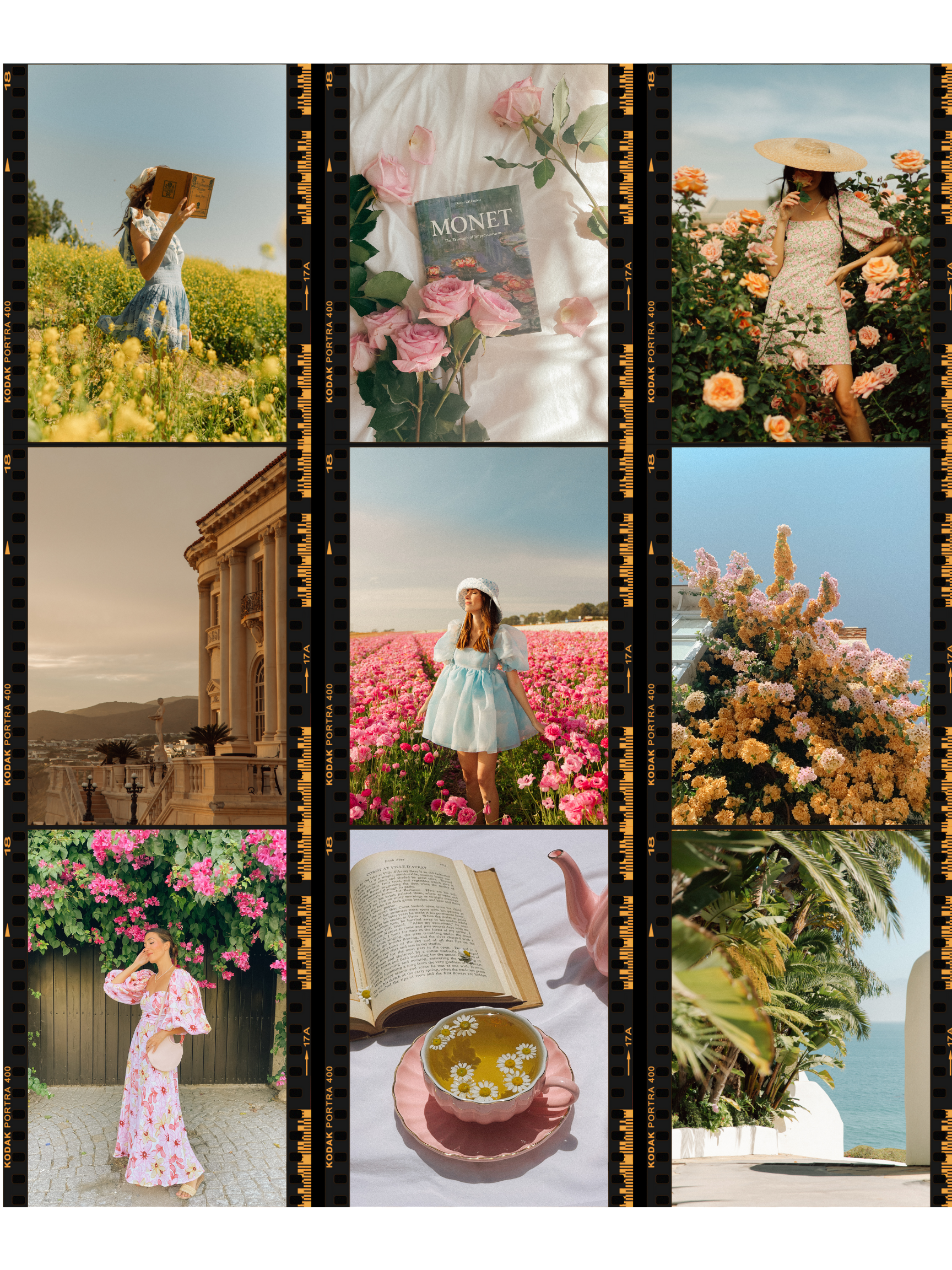 FILM Presets - BUNDLE (Mobile & Desktop)