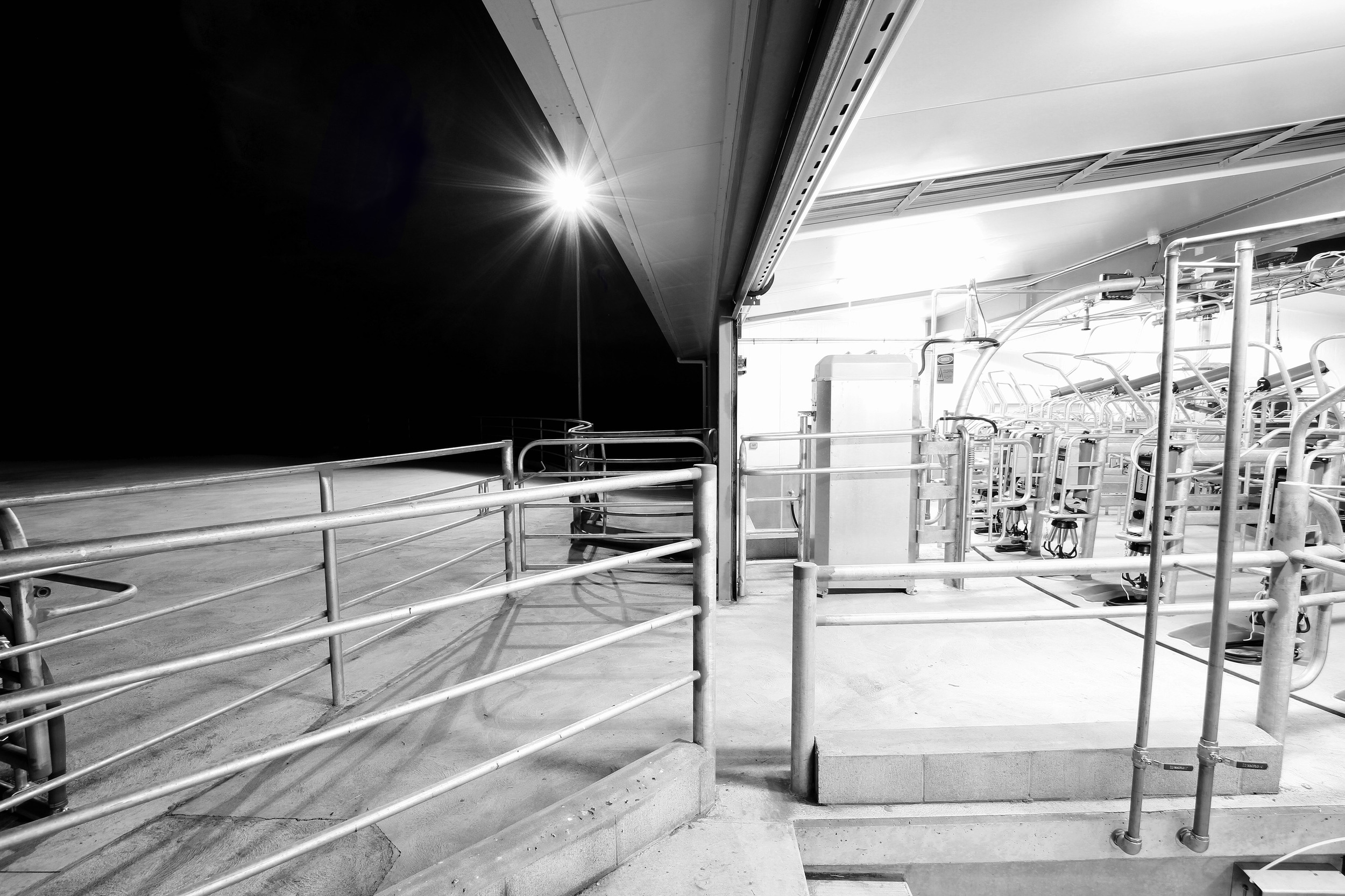 Tim Flemmings Shed_BW.jpg