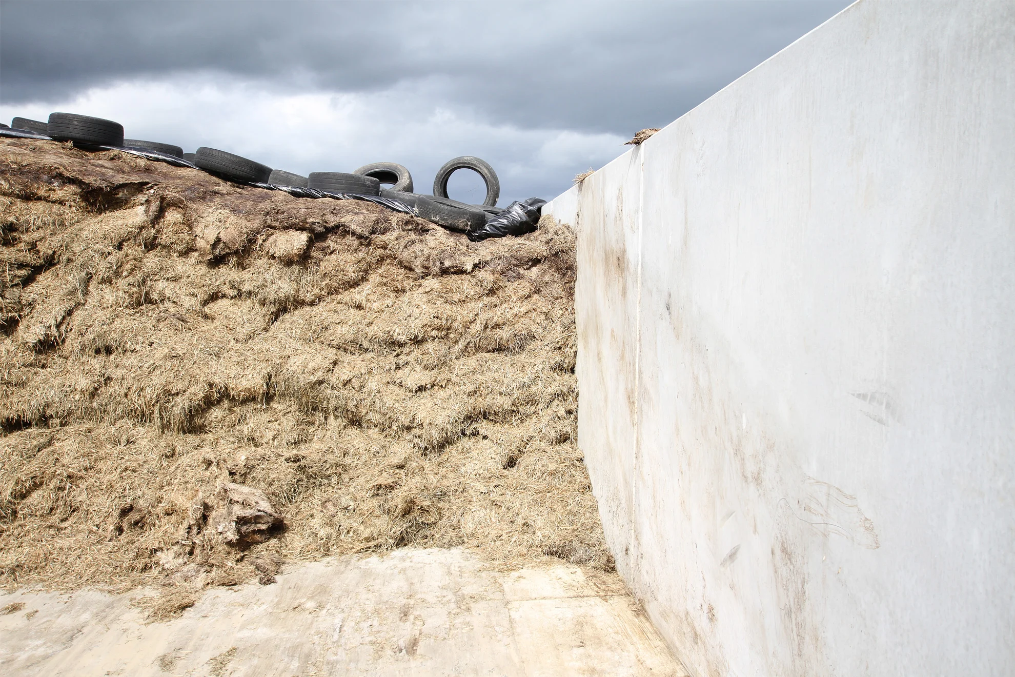 Precast.jpg