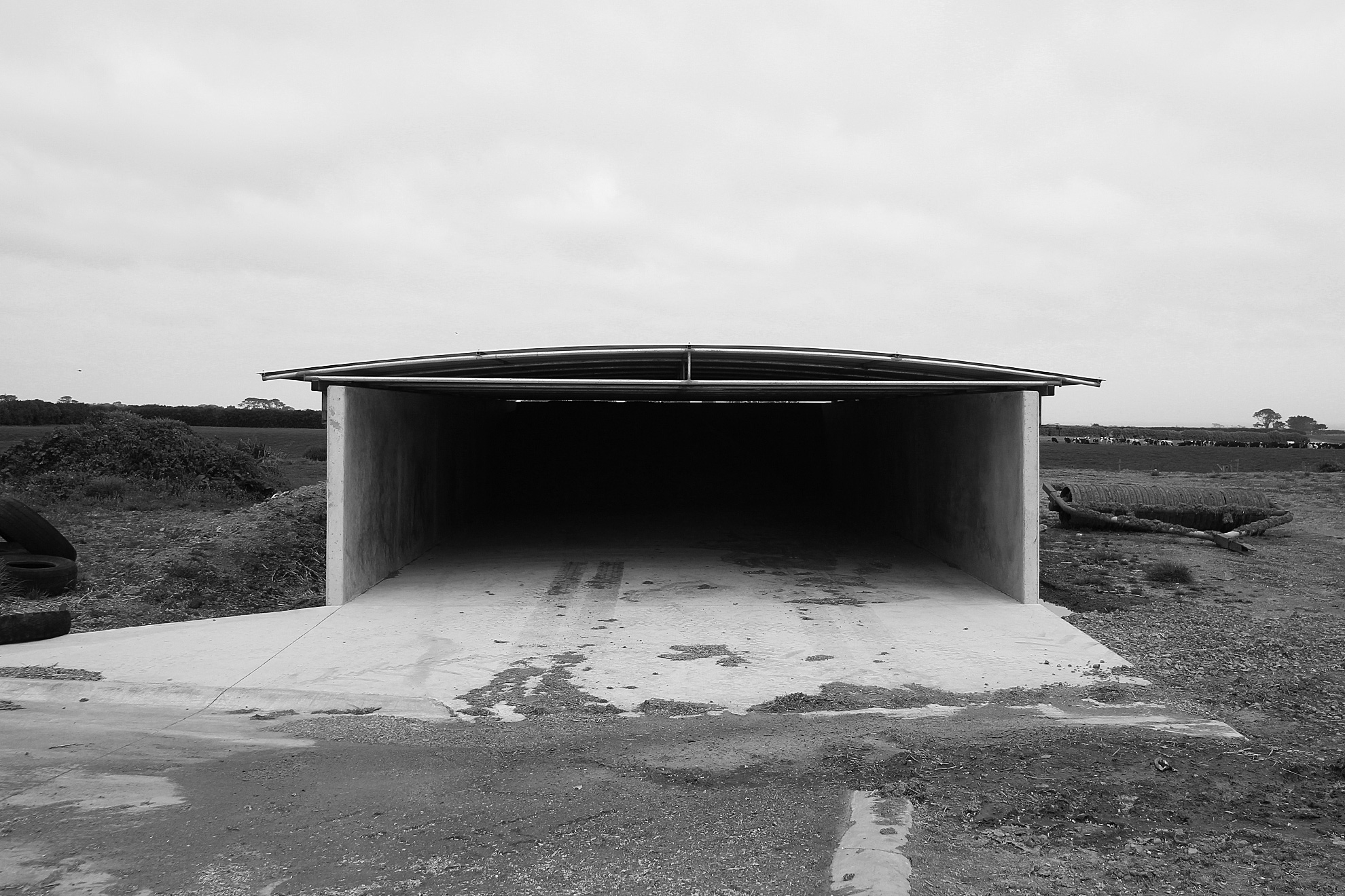 Feed-Shed.jpg