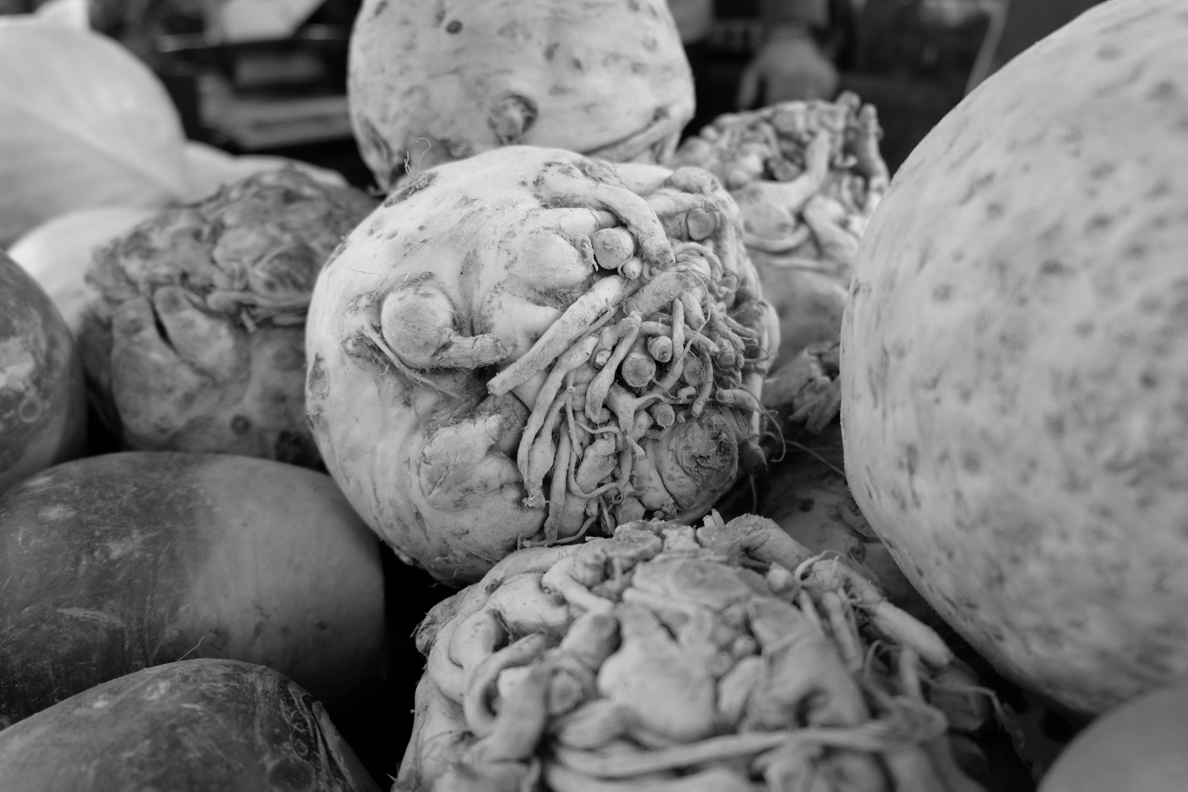 6 Things a Husband of a Homeschooler Should Never Do