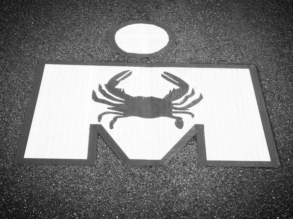 Experiment: Train for Ironman in two months?