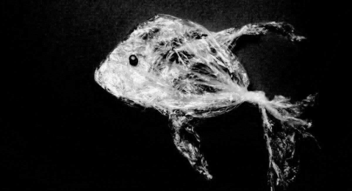 The Fish Discipline | Teaching Kids Systems Thinking | Introduction