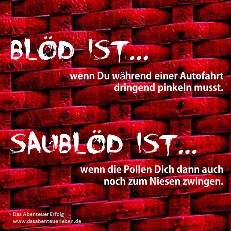 Blöd ist....jpg