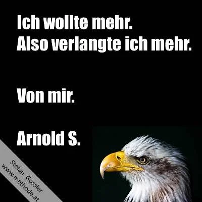 Ich_wollte_mehr.jpg