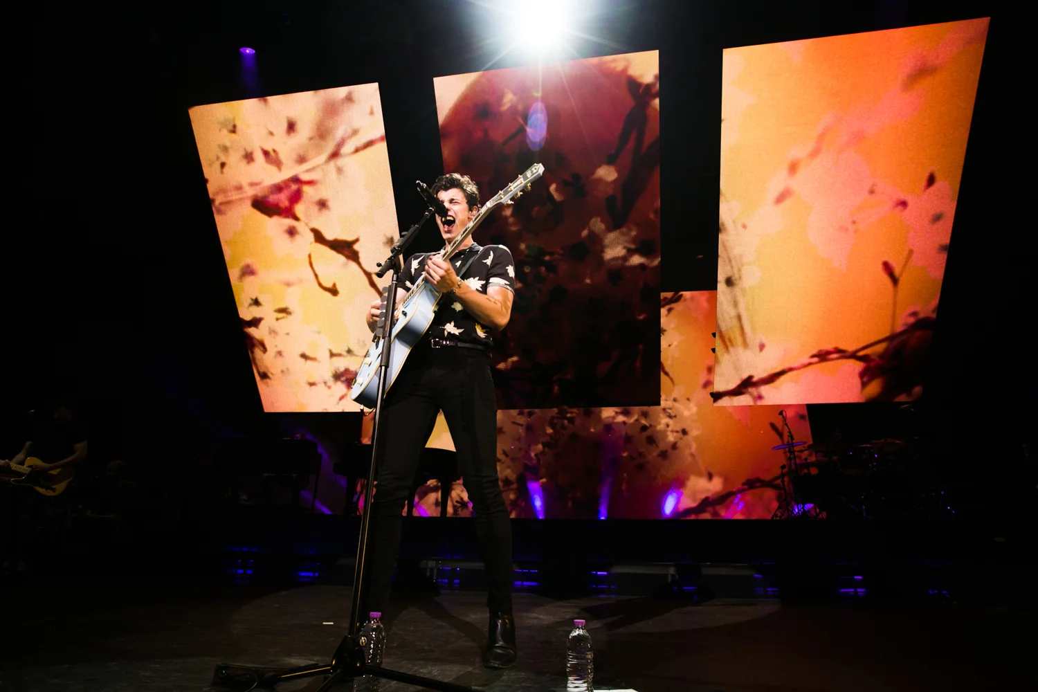 SHAWN MENDES . FESTIVALS 2018