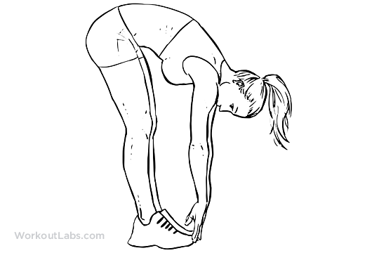 Hamstring stretch.png